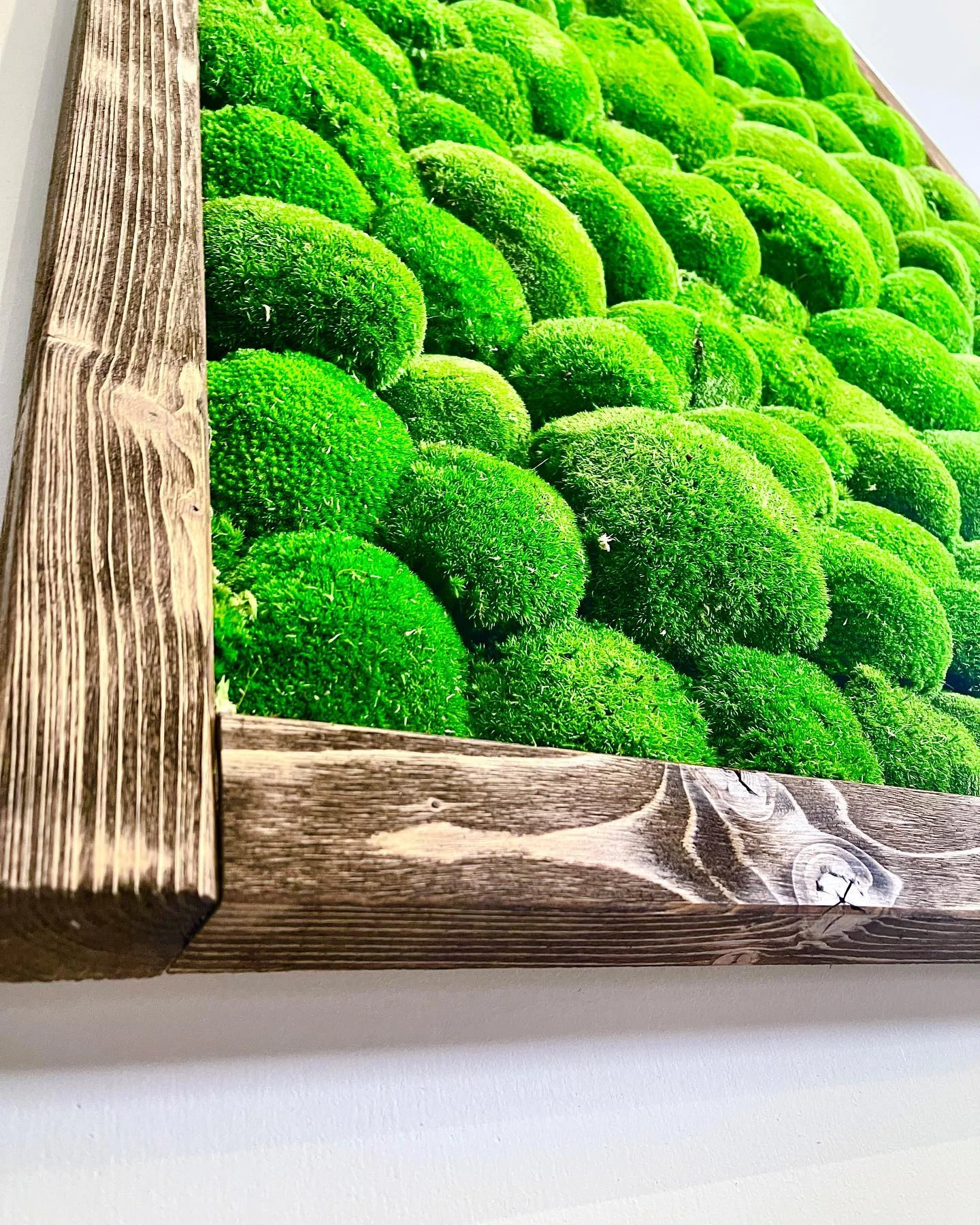 Workshop výroby mechového obrazu pro 1, 2 nebo 4 osoby