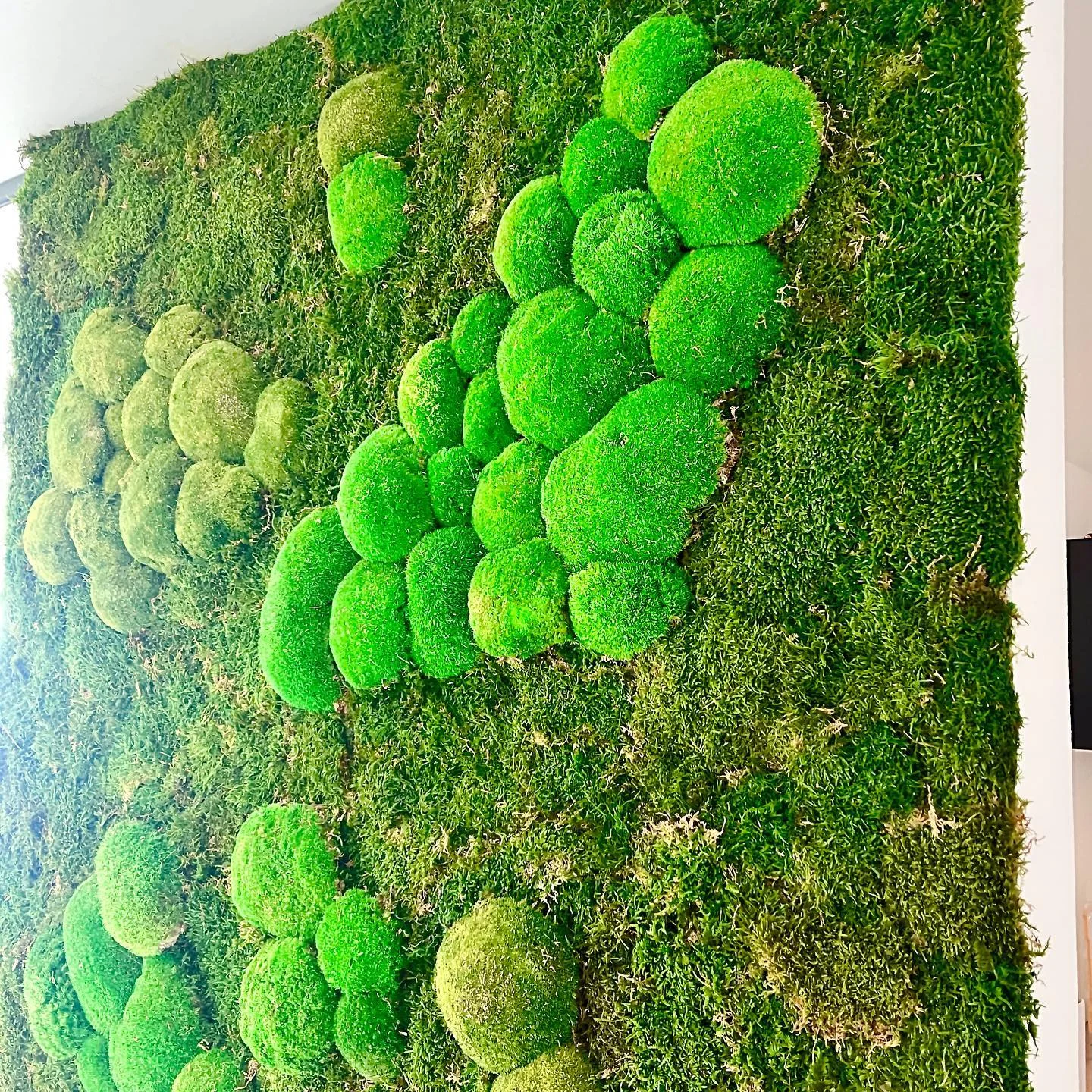 Workshop výroby mechového obrazu pro 1, 2 nebo 4 osoby