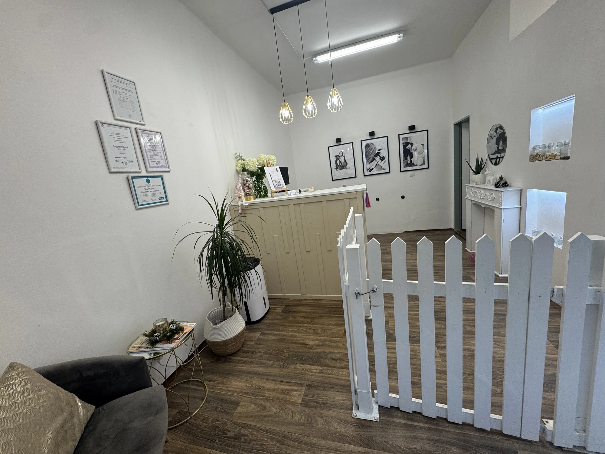 Dopřejte svému pejskovi zdravý dech a krásné zuby: šetrná dentální hygiena pro psy