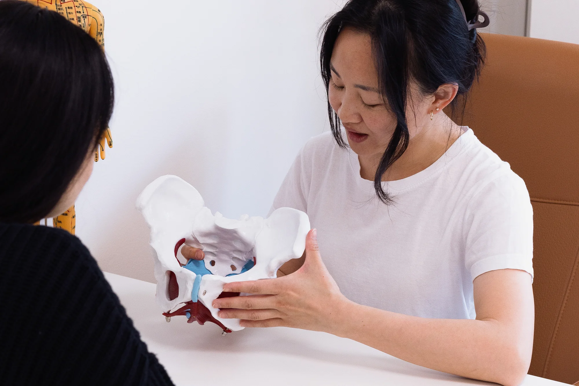 Masáže v centru Prahy: zdravotní, baňkování, Gua Sha nebo fyzioterapie