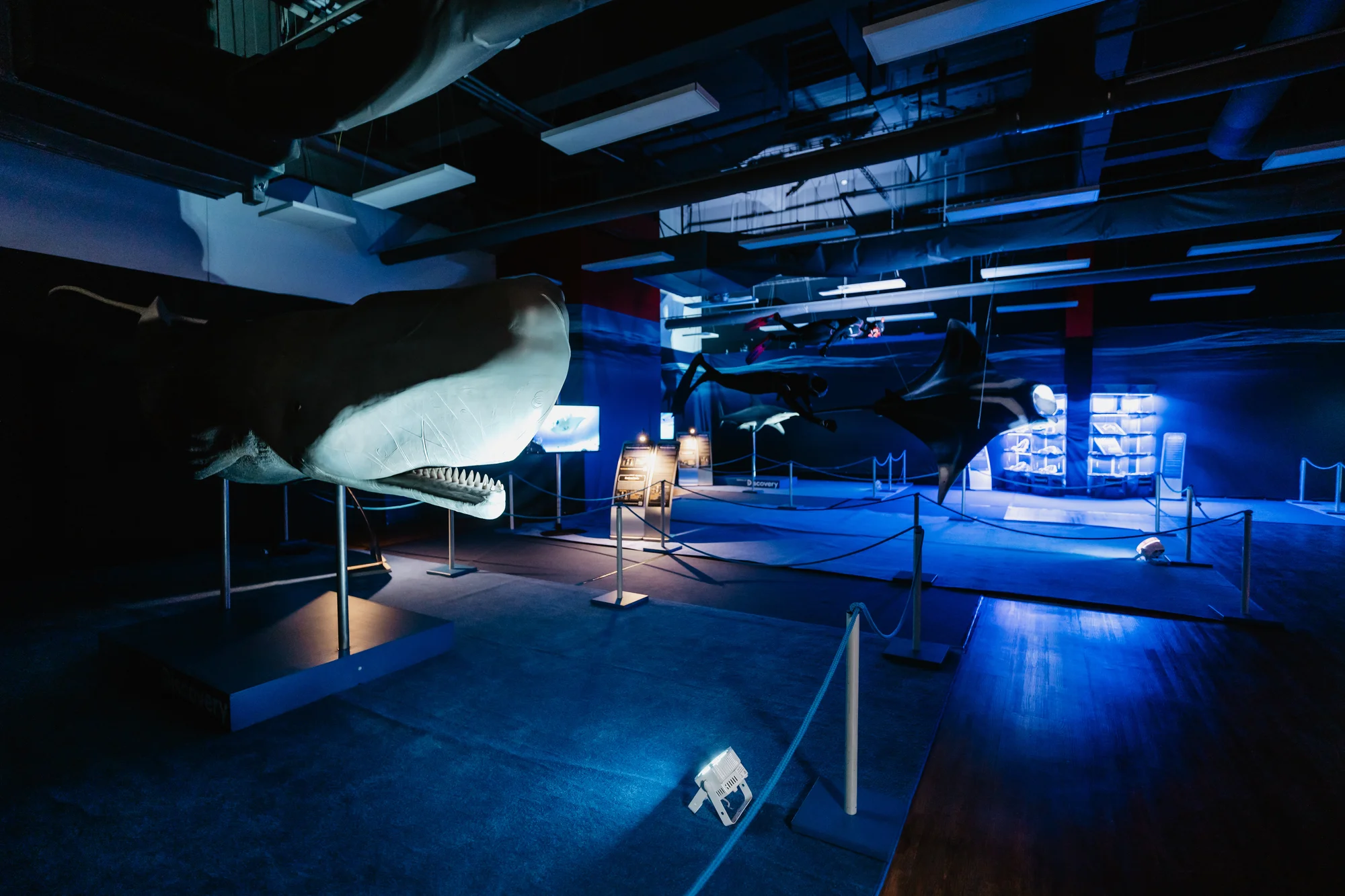 Vstupy na výstavu Obři oceánů v OC Westfield na Černém Mostě