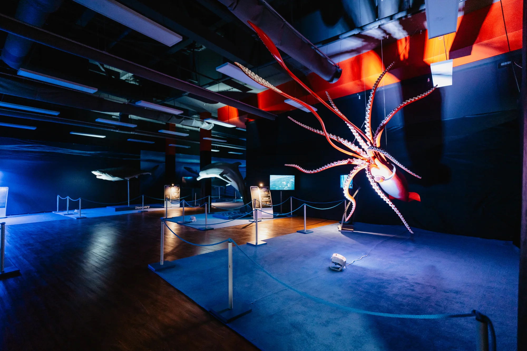 Vstupy na výstavu Obři oceánů v OC Westfield na Černém Mostě