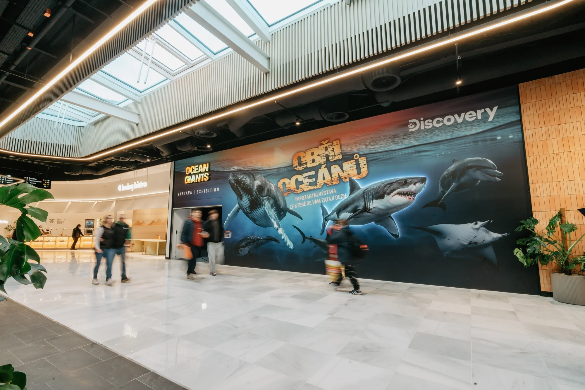 Vstupy na výstavu Obři oceánů v OC Westfield na Černém Mostě