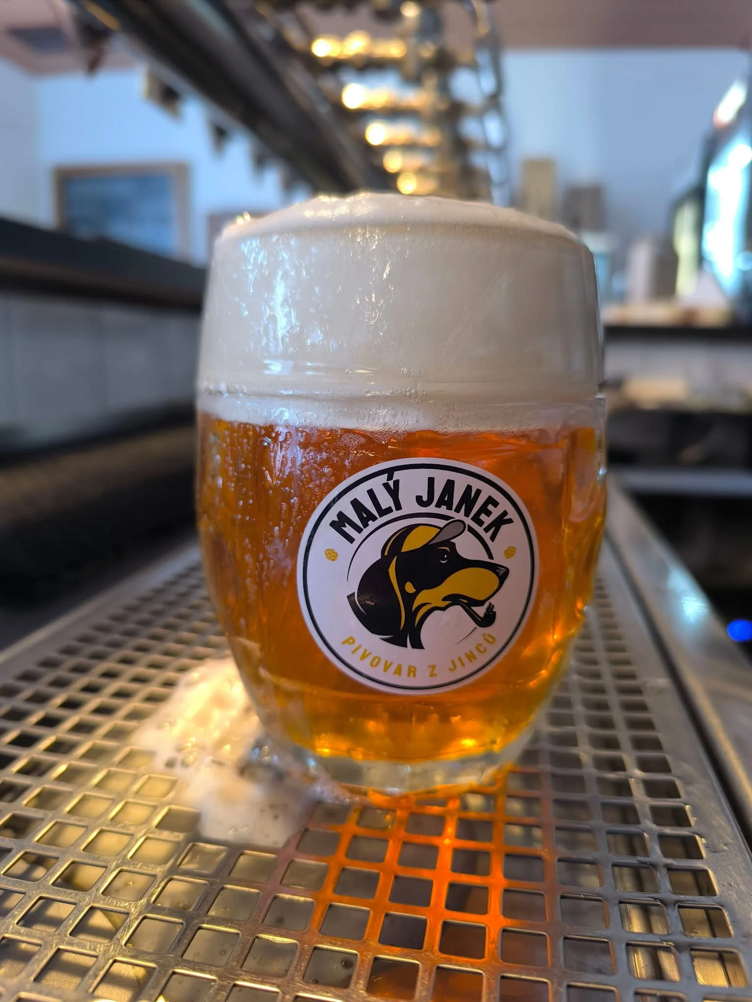 Prohlídka pivovaru s neomezenou degustací piv přímo z tanků pro 1-2 osoby