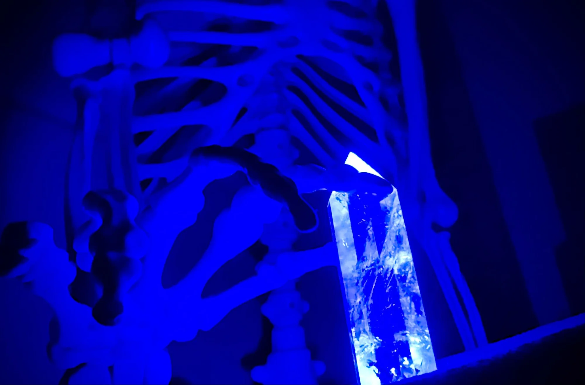 Úniková hra Indiana Jones & prokletí Aztéckého chrámu pro 2–6 osob