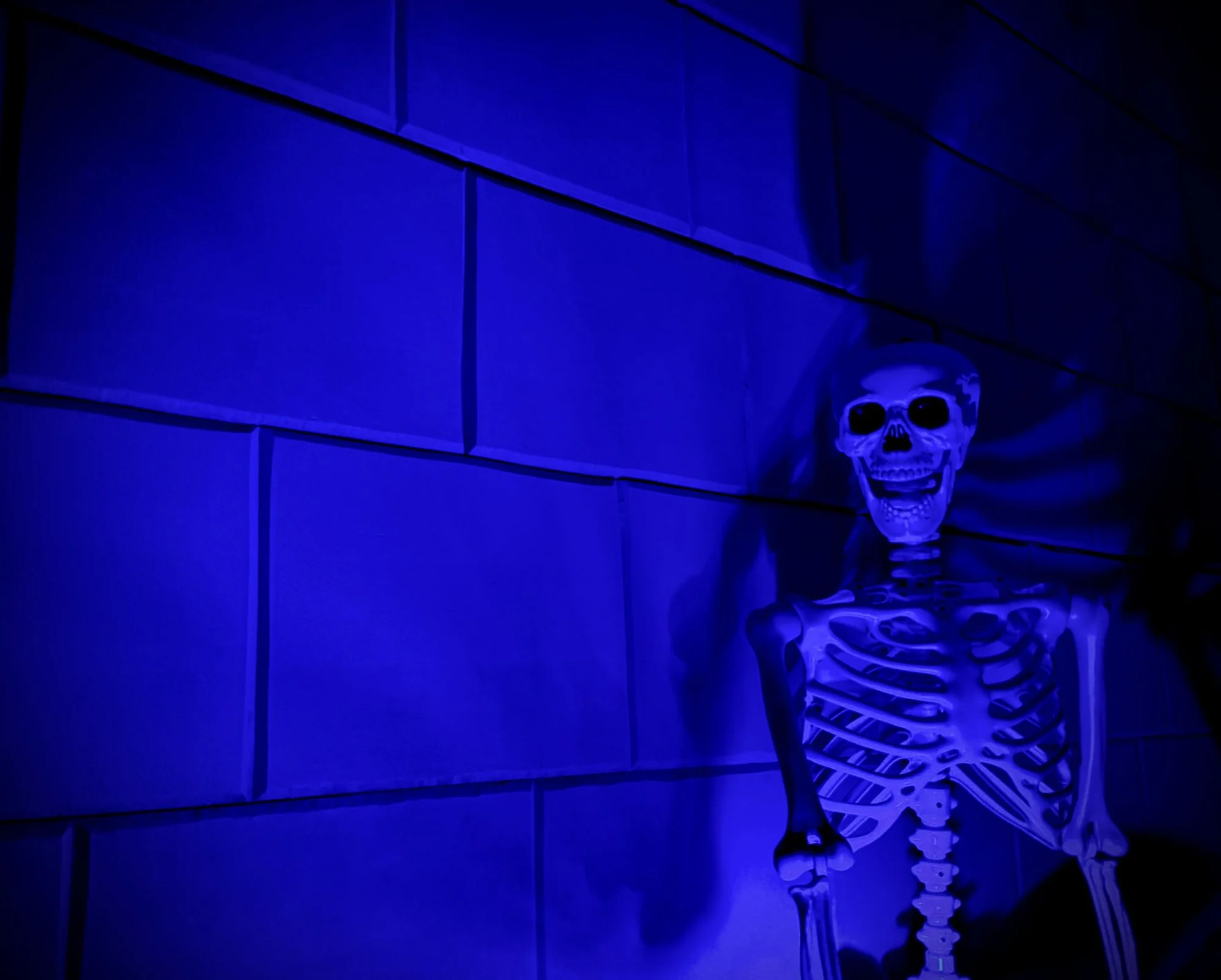 Úniková hra Indiana Jones & prokletí Aztéckého chrámu pro 2–6 osob