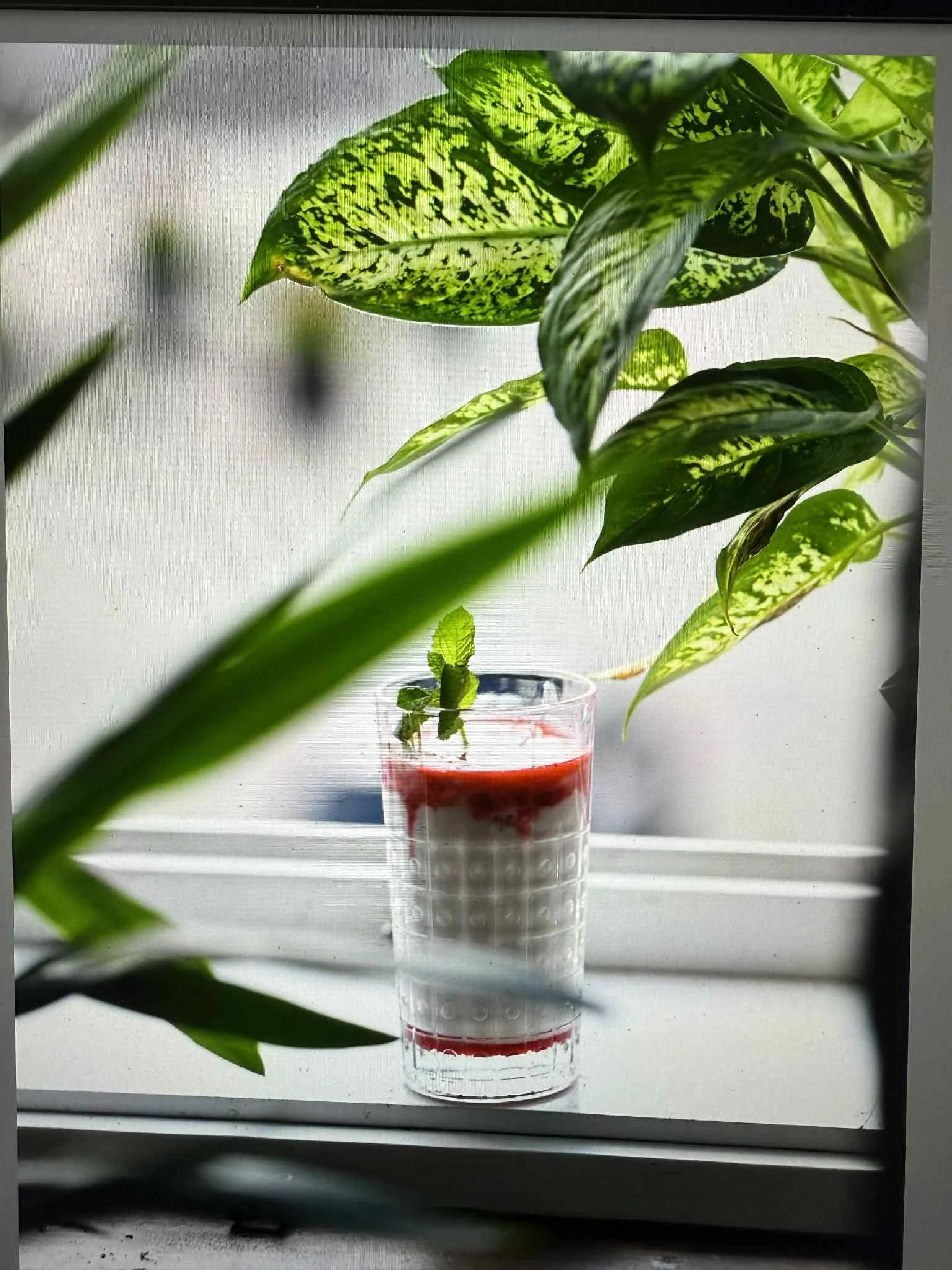 Autentické chutě Indie: Dárkové vouchery do nové indické restaurace a baru v srdci Budějovic