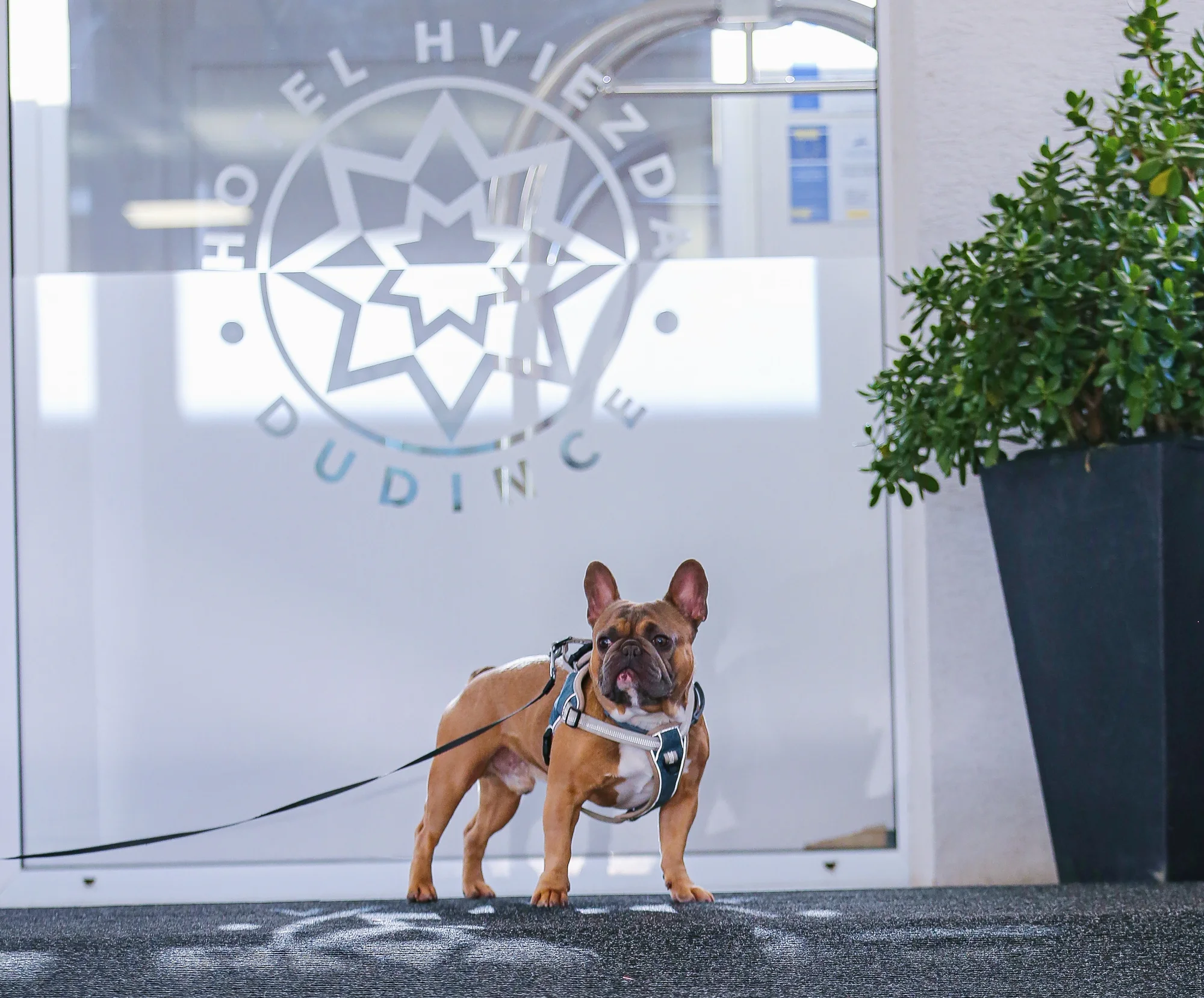 Jedinečný hotel Hviezda*** s bazénem, wellness a procedurami