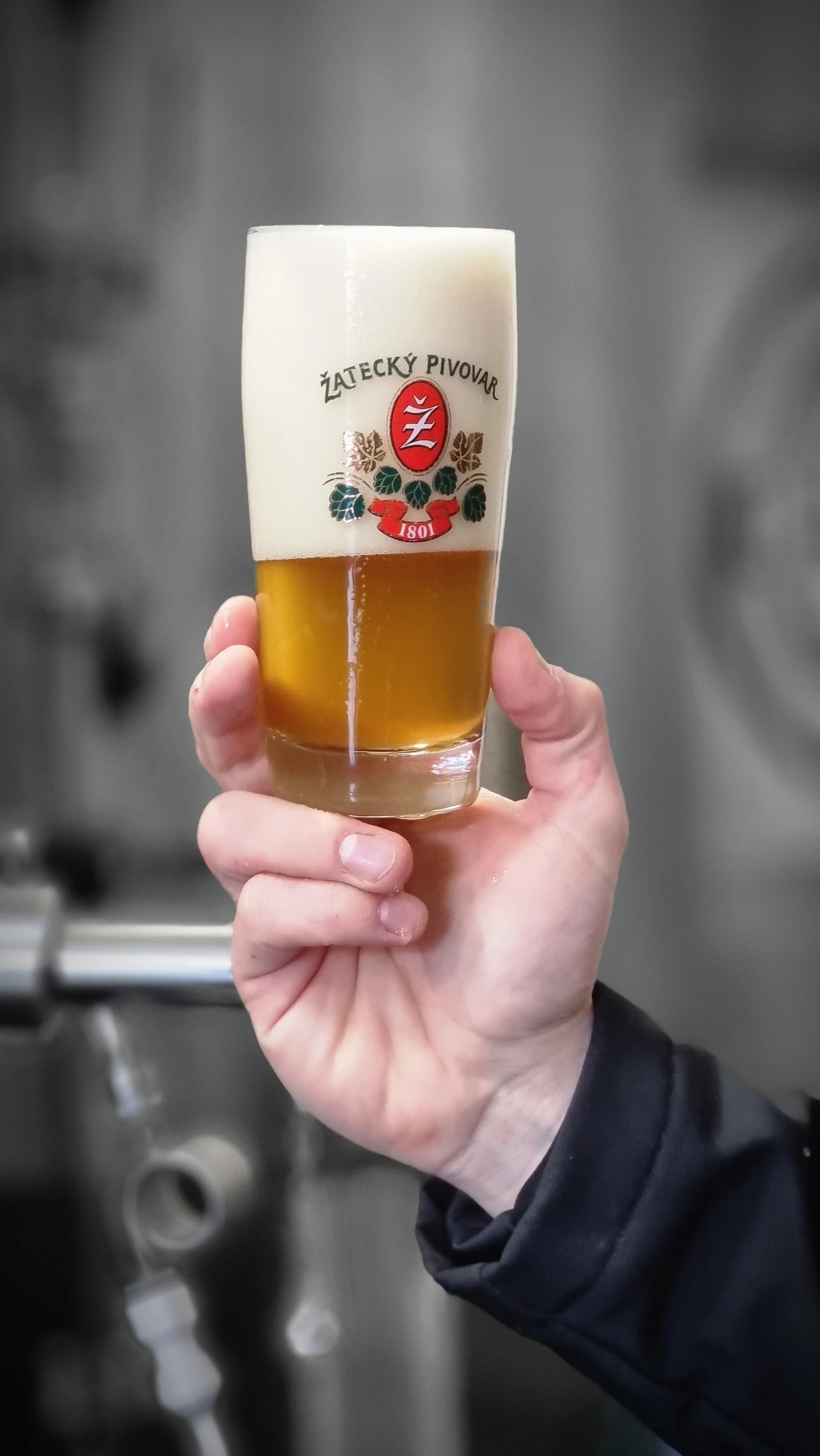 Prohlídka muzea pivovarnictví, Žateckého pivovaru, vodárenské věže a ochutnávka piva