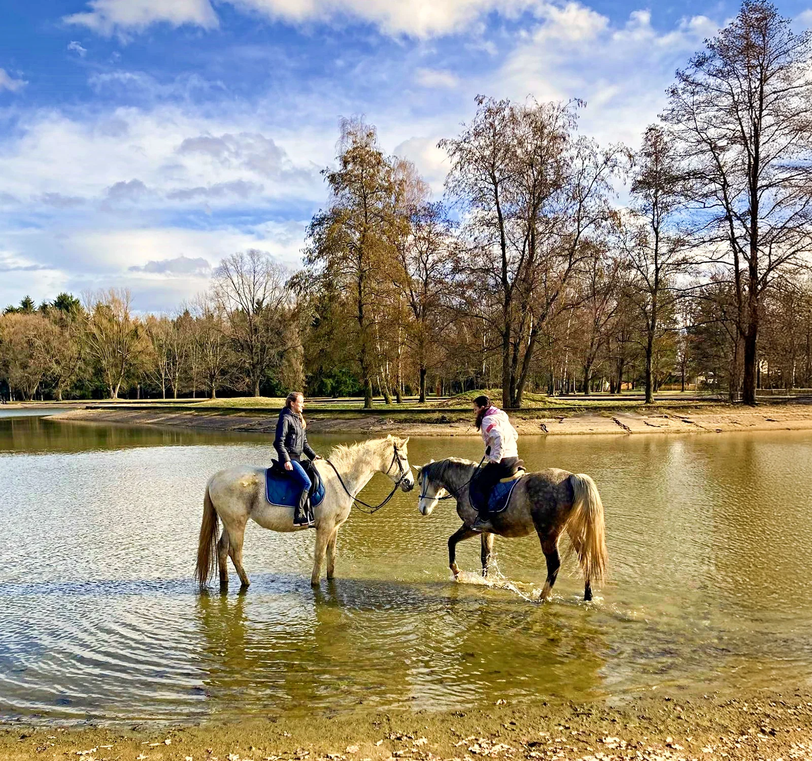 Projížďka na koni v přírodě u Českých Budějovic: 2,5 hod. pro 1 osobu