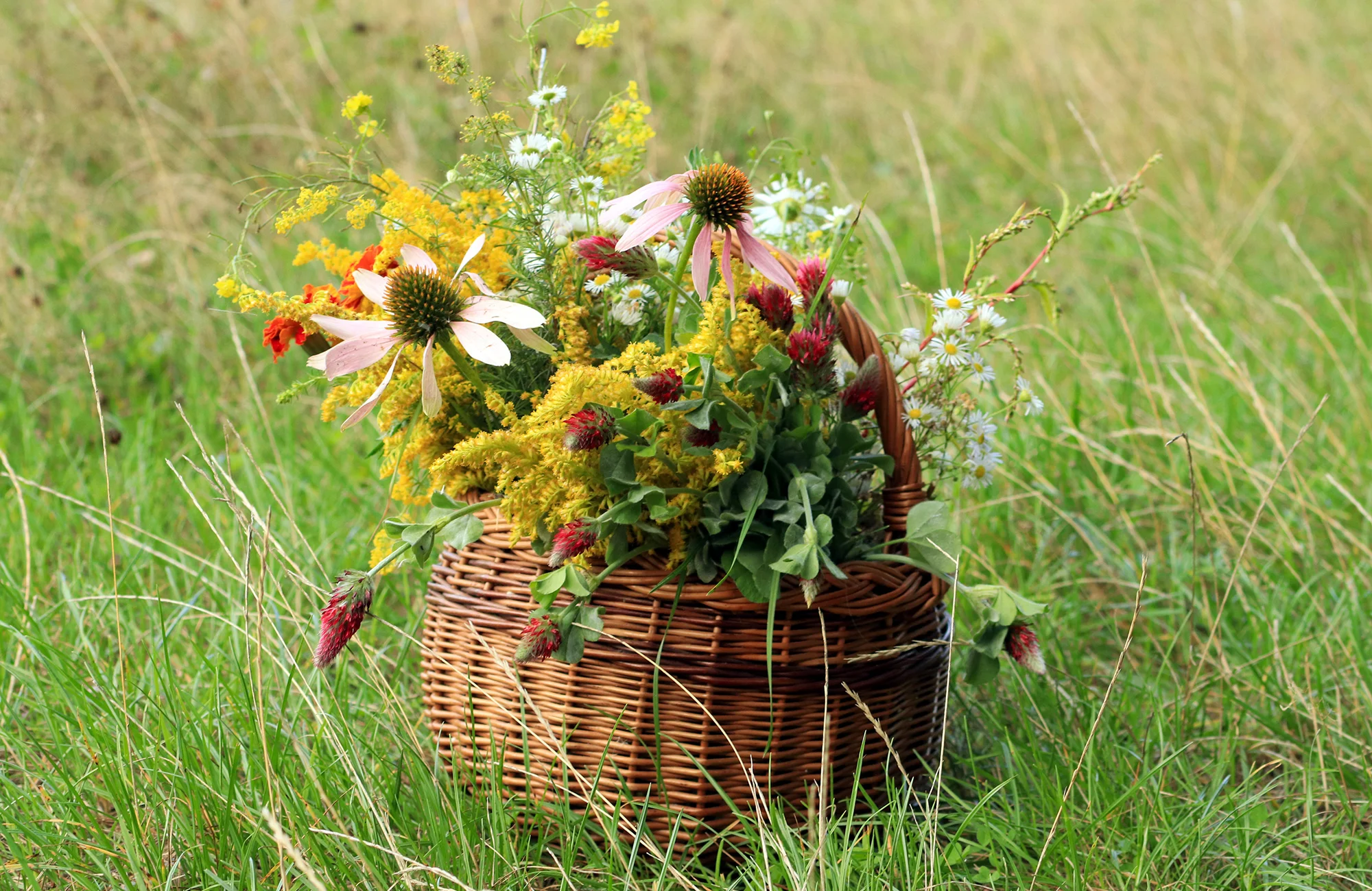 Kurz výroby bylinných čajů vč. ochutnávky, pro 1 nebo 2 osoby