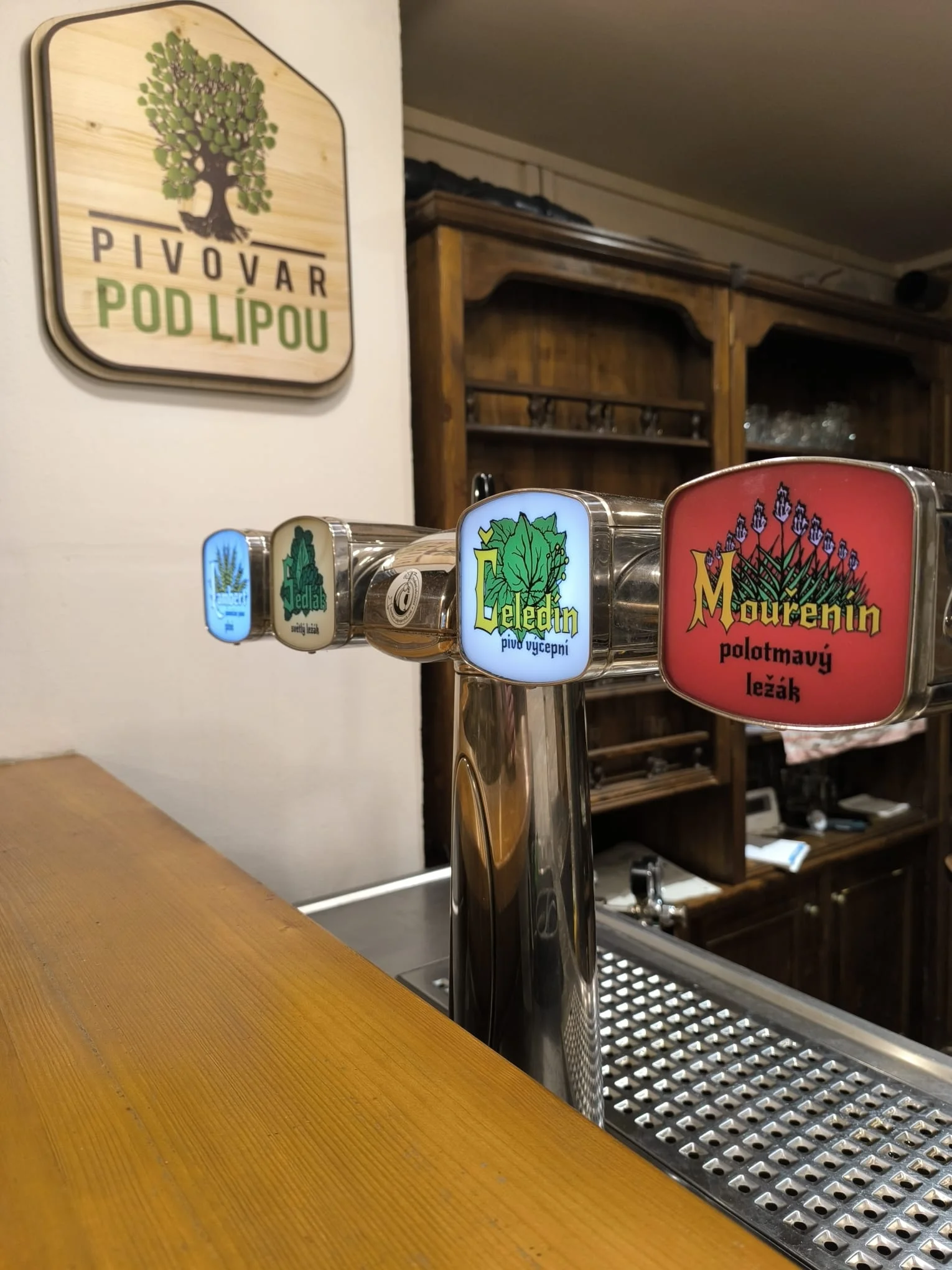 Tvarůžkový tatarák nebo pečené koleno a pivo pro 1 nebo 2 osoby