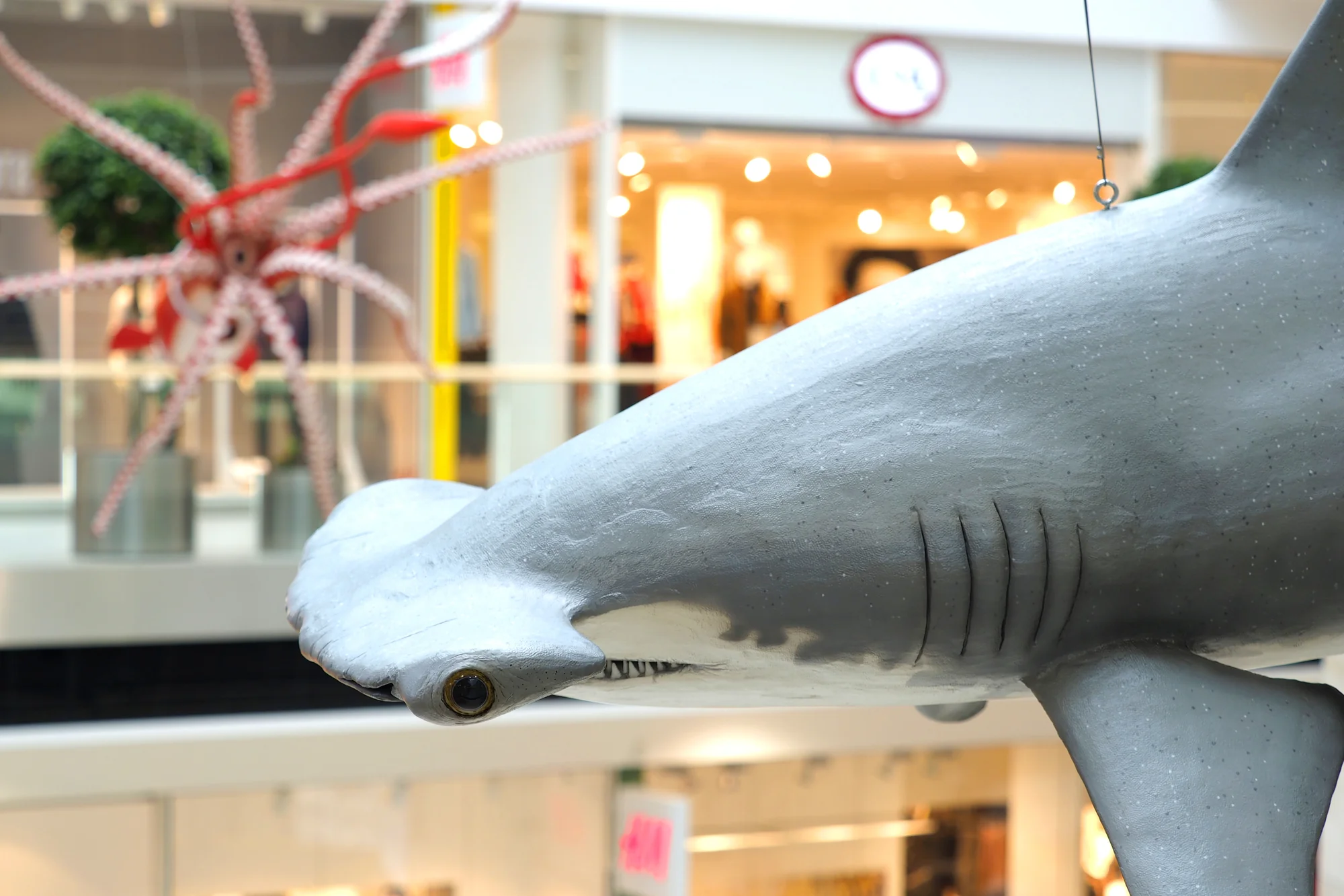 Vstupy na výstavu Obři oceánů v OC Westfield na Černém Mostě