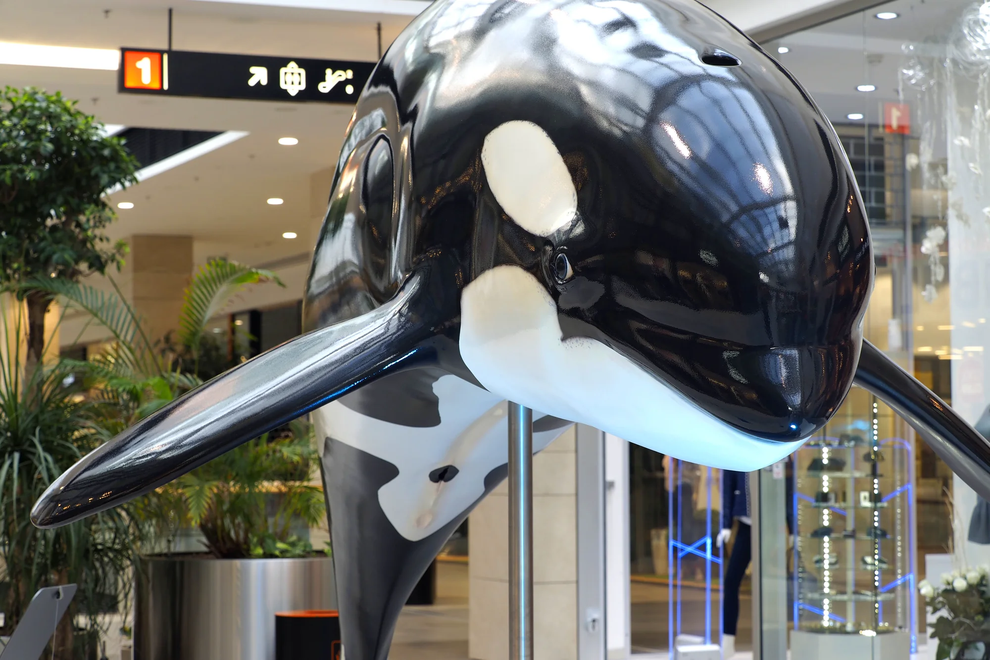 Vstupy na výstavu Obři oceánů v OC Westfield na Černém Mostě