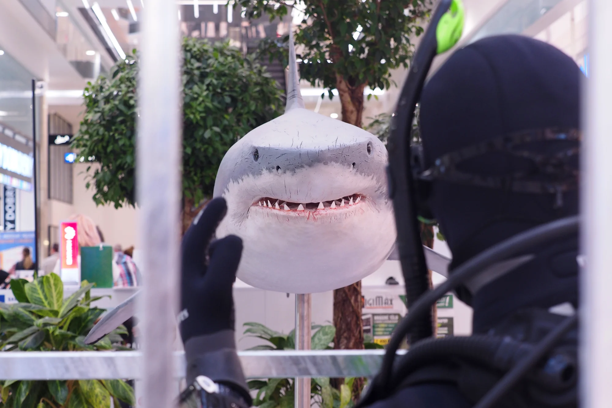 Vstupy na výstavu Obři oceánů v OC Westfield na Černém Mostě