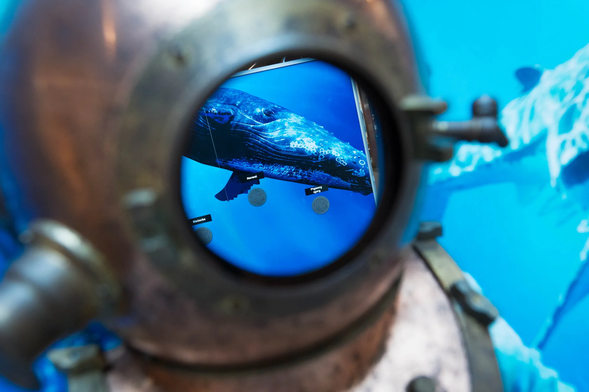 Vstupy na výstavu Obři oceánů v OC Westfield na Černém Mostě