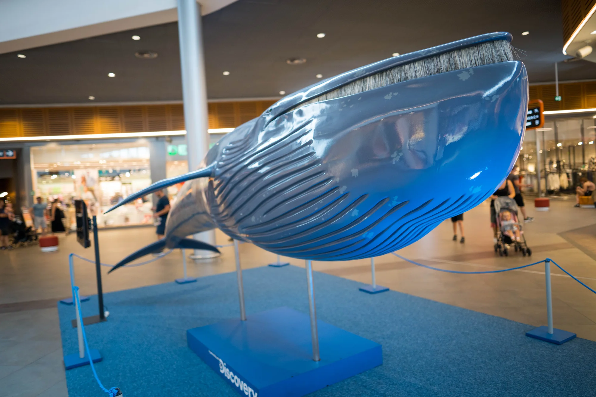 Vstupy na výstavu Obři oceánů v OC Westfield na Černém Mostě