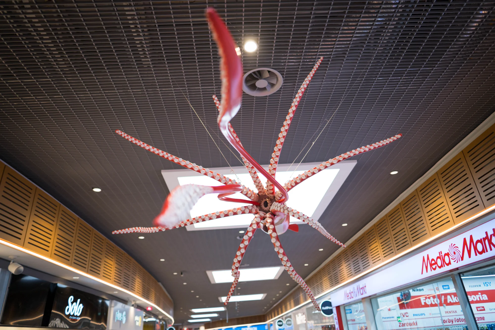 Vstupy na výstavu Obři oceánů v OC Westfield na Černém Mostě