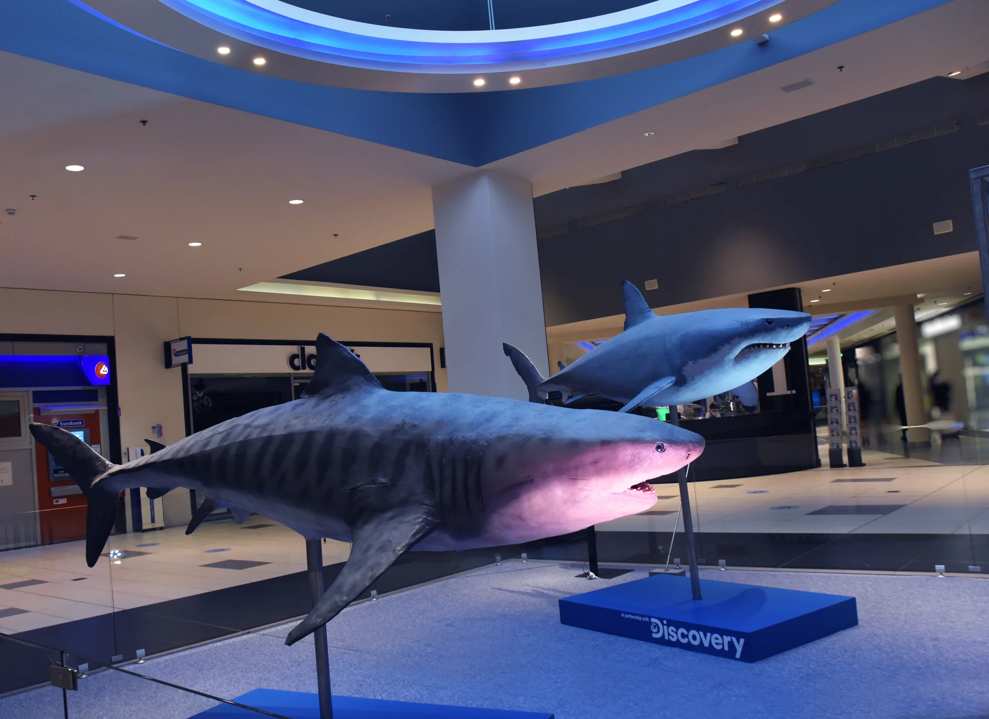 Vstupy na výstavu Obři oceánů v OC Westfield na Černém Mostě