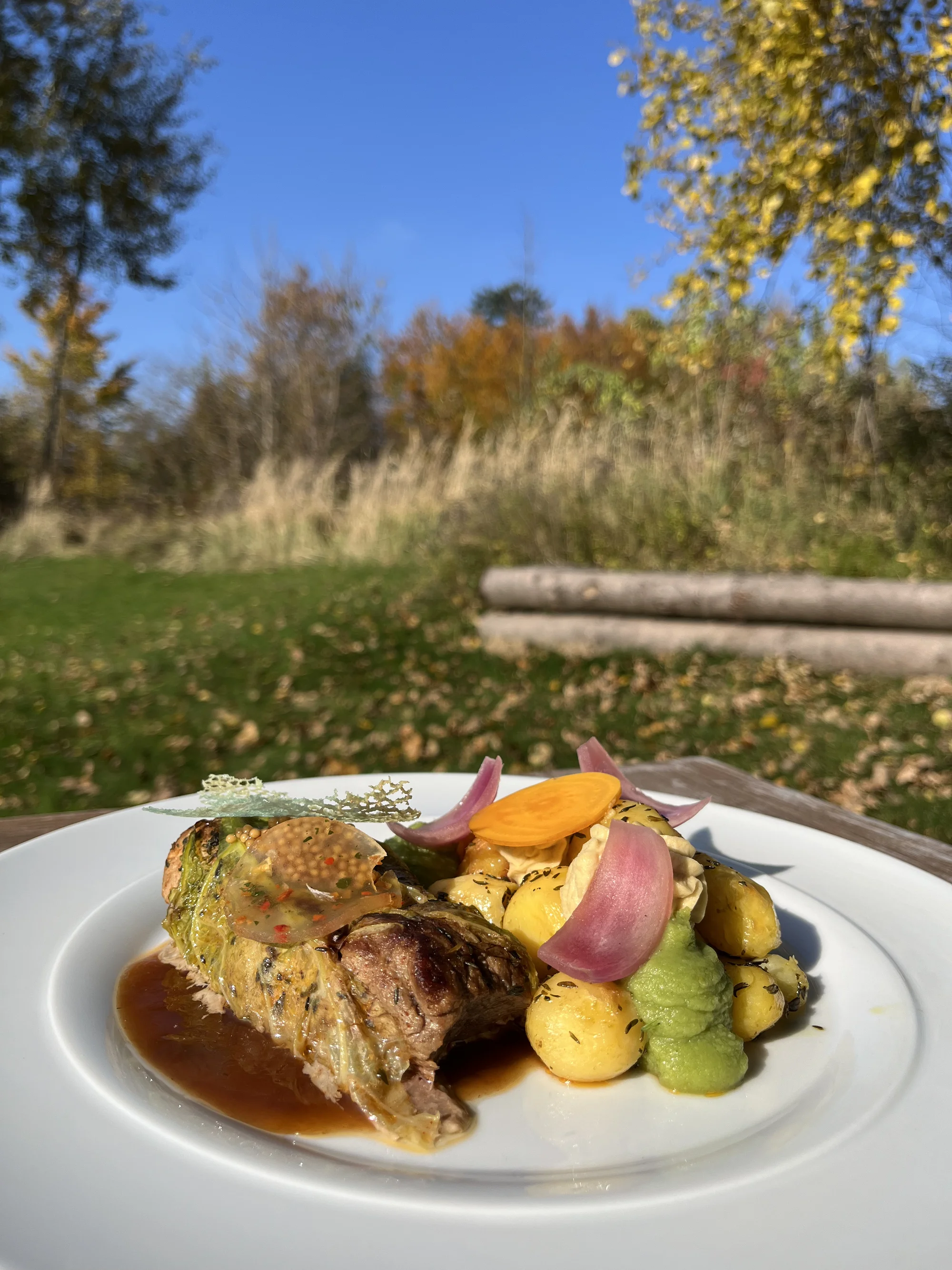 Moravský kras: nádherné ubytování v přírodě s polopenzí i vínem a privátním wellness