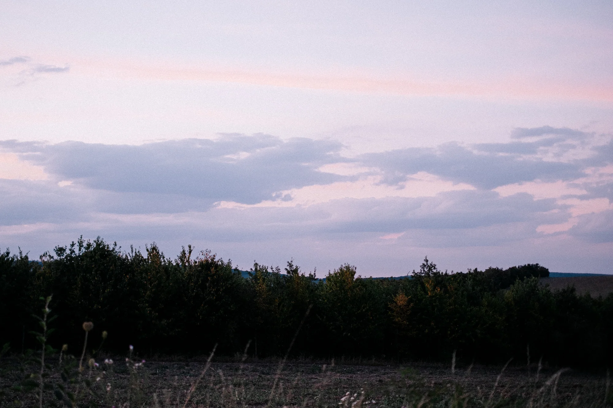 Glamping ve Velkých Pavlovicích přímo u vinice s výhledem na Pálavu