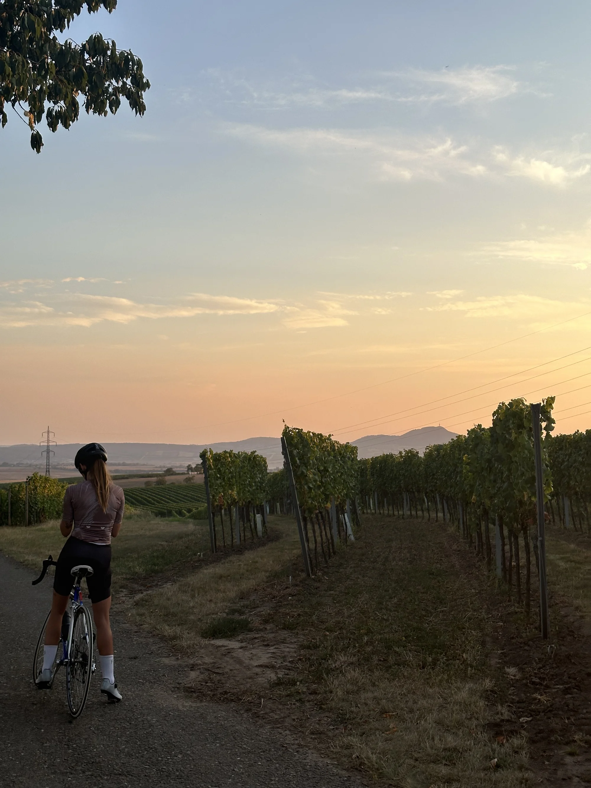 Glamping ve Velkých Pavlovicích přímo u vinice s výhledem na Pálavu