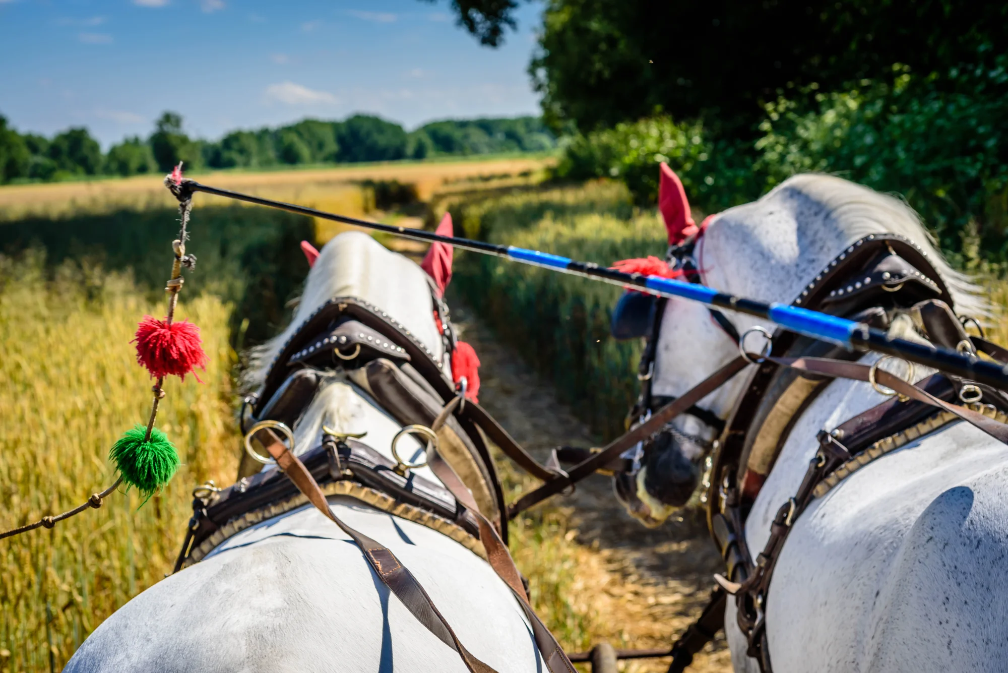 Dovolená na ranči v Novém Tekově: Koně, polopenze, bowling i wellness
