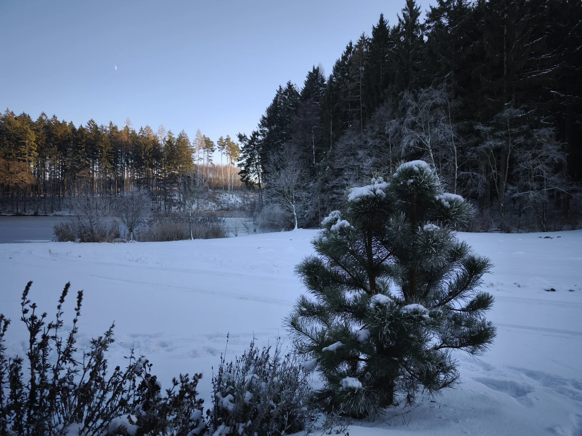 Luxusní chata v kempu na Vysočině: venkovní vířivka a výlety po kraji lesů a rybníků