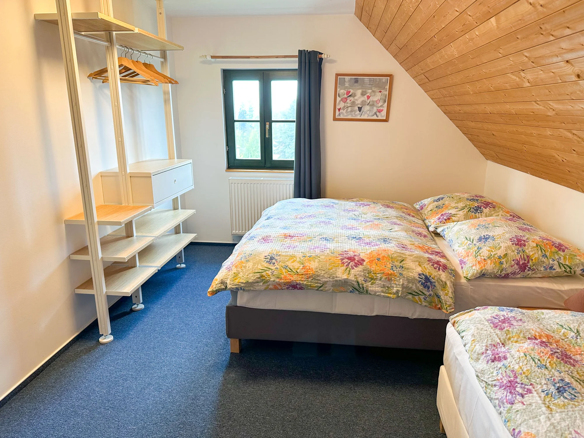 Chaty v Čisté v Krkonoších až pro 8 osob: sjezdovky, výlety a v létě bazén