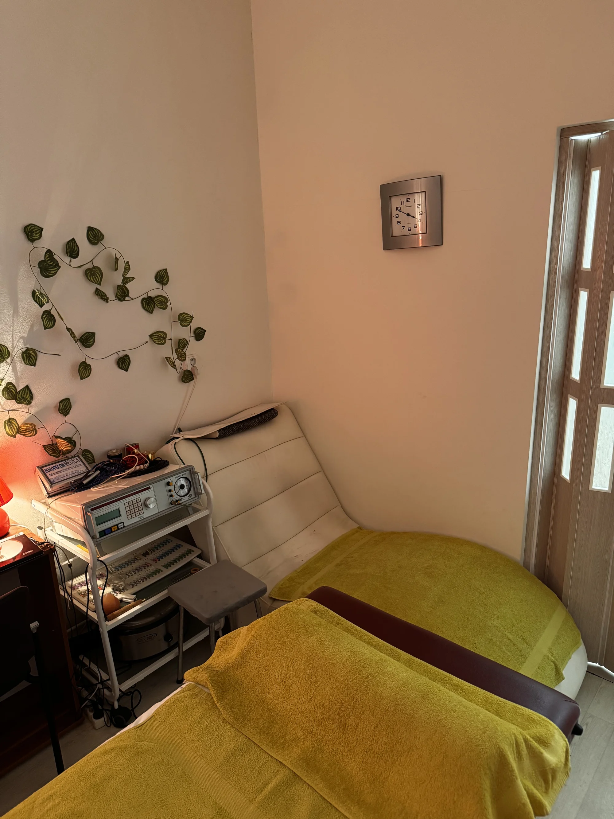 Masáž zad nebo celotělová, reflexní terapie nohou i lávové kameny