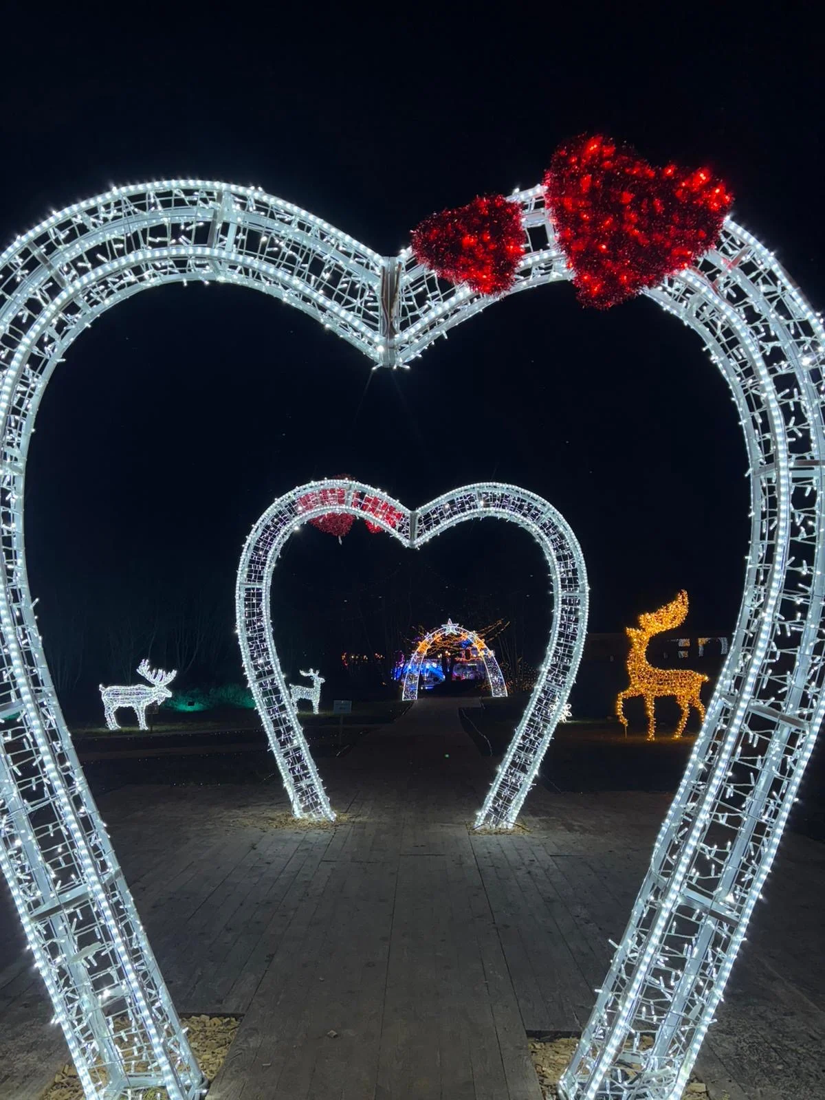 Vstupenky do Winter World: světelná pohádková zahrada, atrakce v ceně