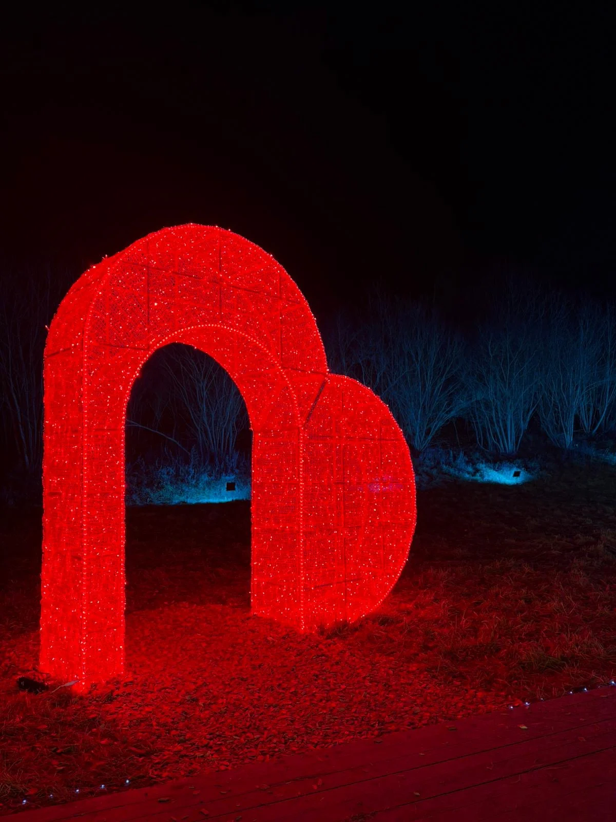 Vstupenky do Winter World: světelná pohádková zahrada, atrakce v ceně