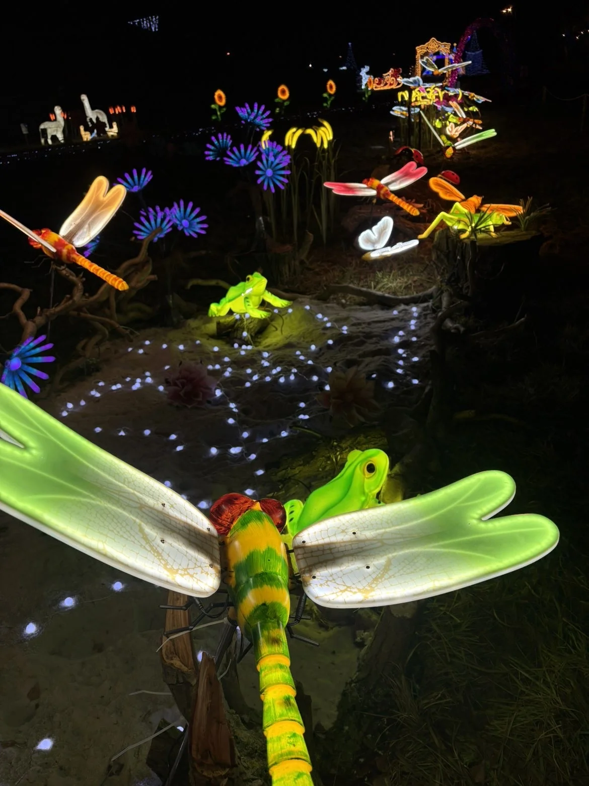 Vstupenky do Winter World: světelná pohádková zahrada, atrakce v ceně