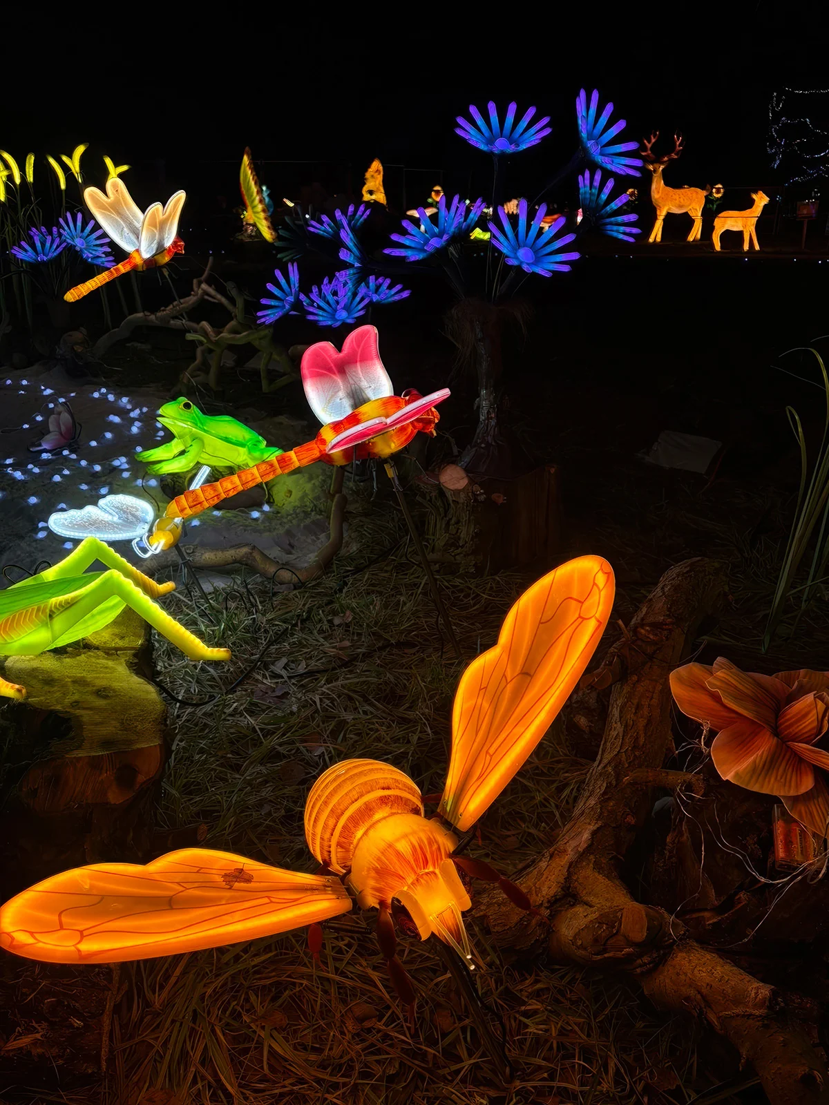 Vstupenky do Winter World: světelná pohádková zahrada, atrakce v ceně