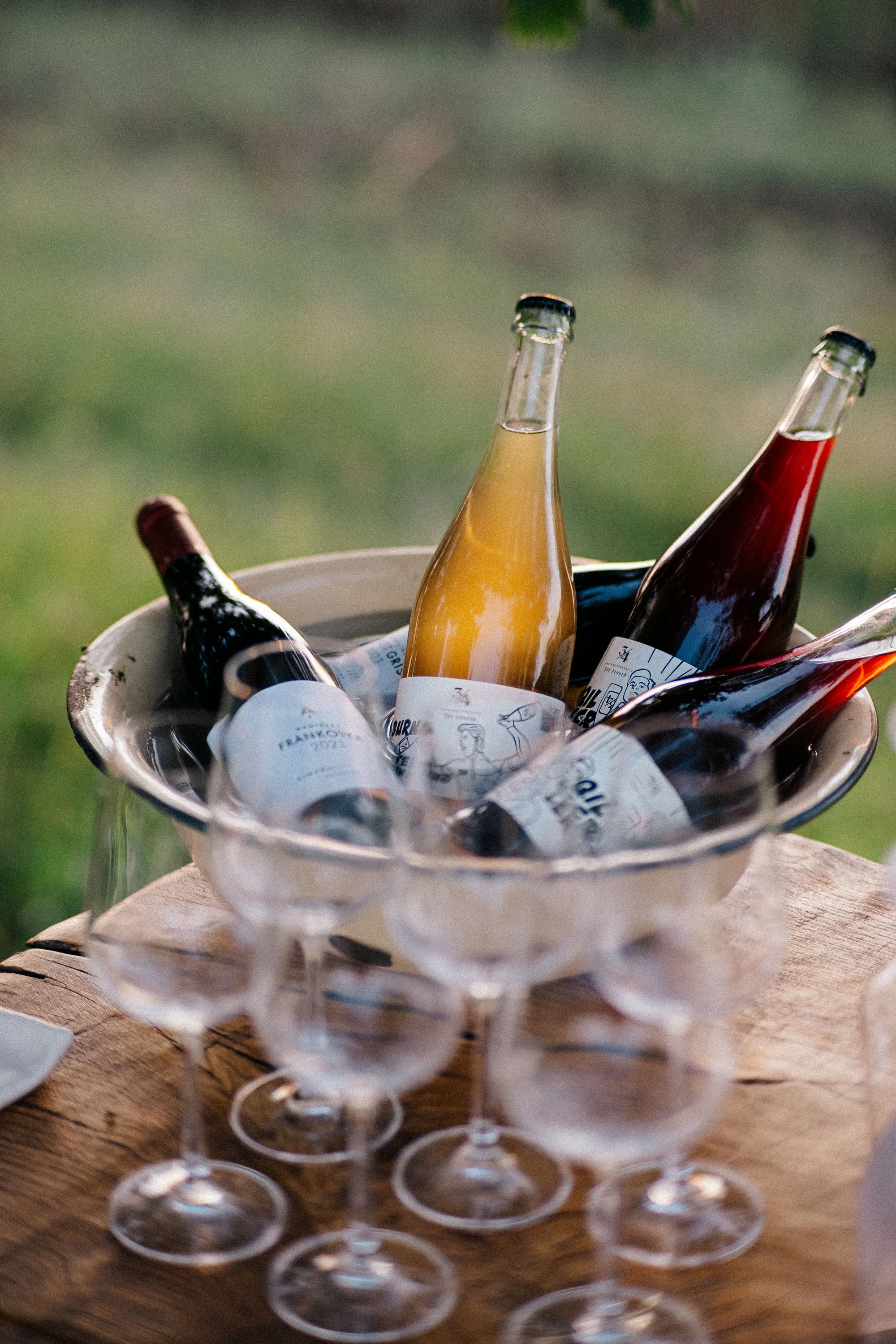 Glamping ve Velkých Pavlovicích přímo u vinice s výhledem na Pálavu