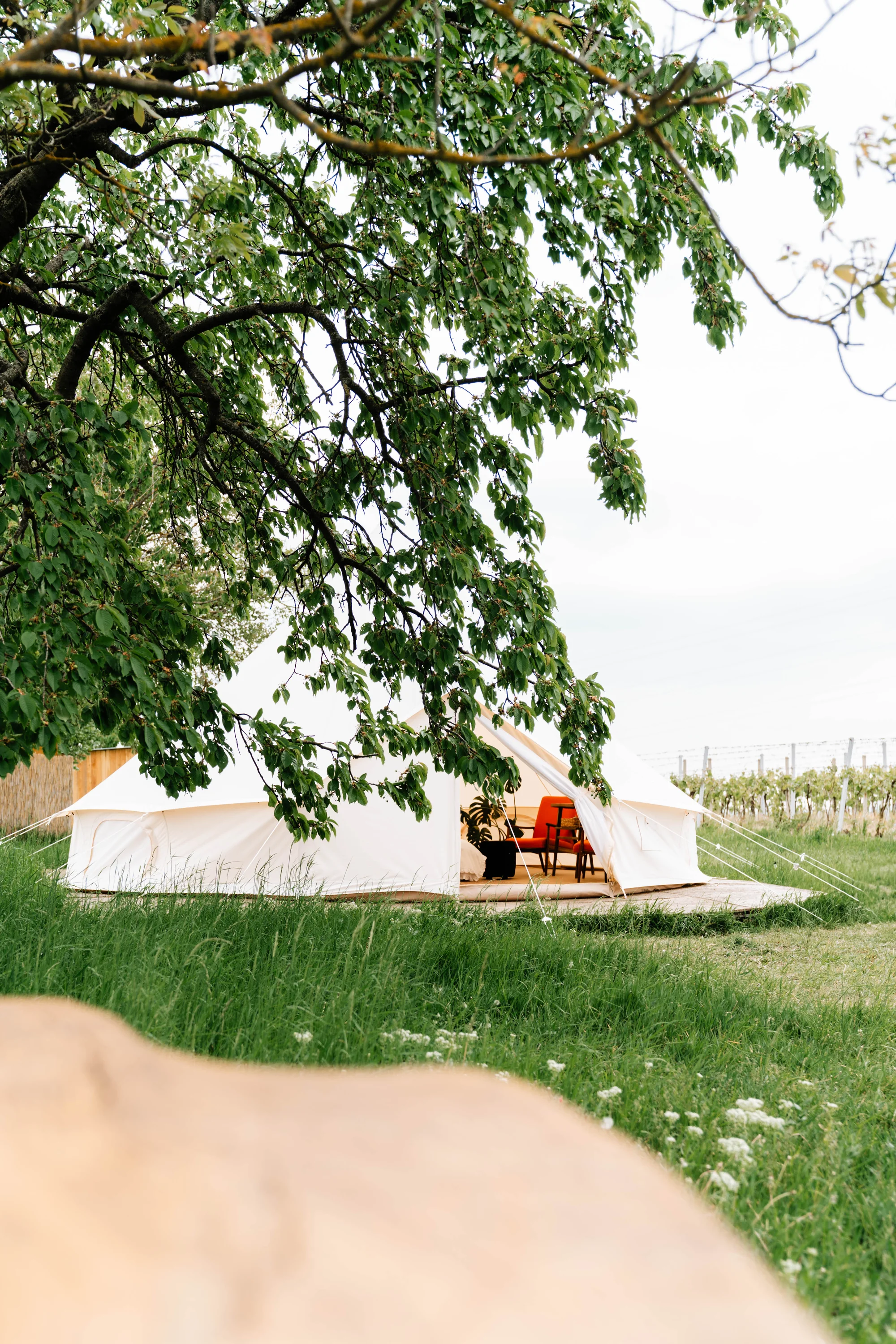 Glamping ve Velkých Pavlovicích přímo u vinice s výhledem na Pálavu