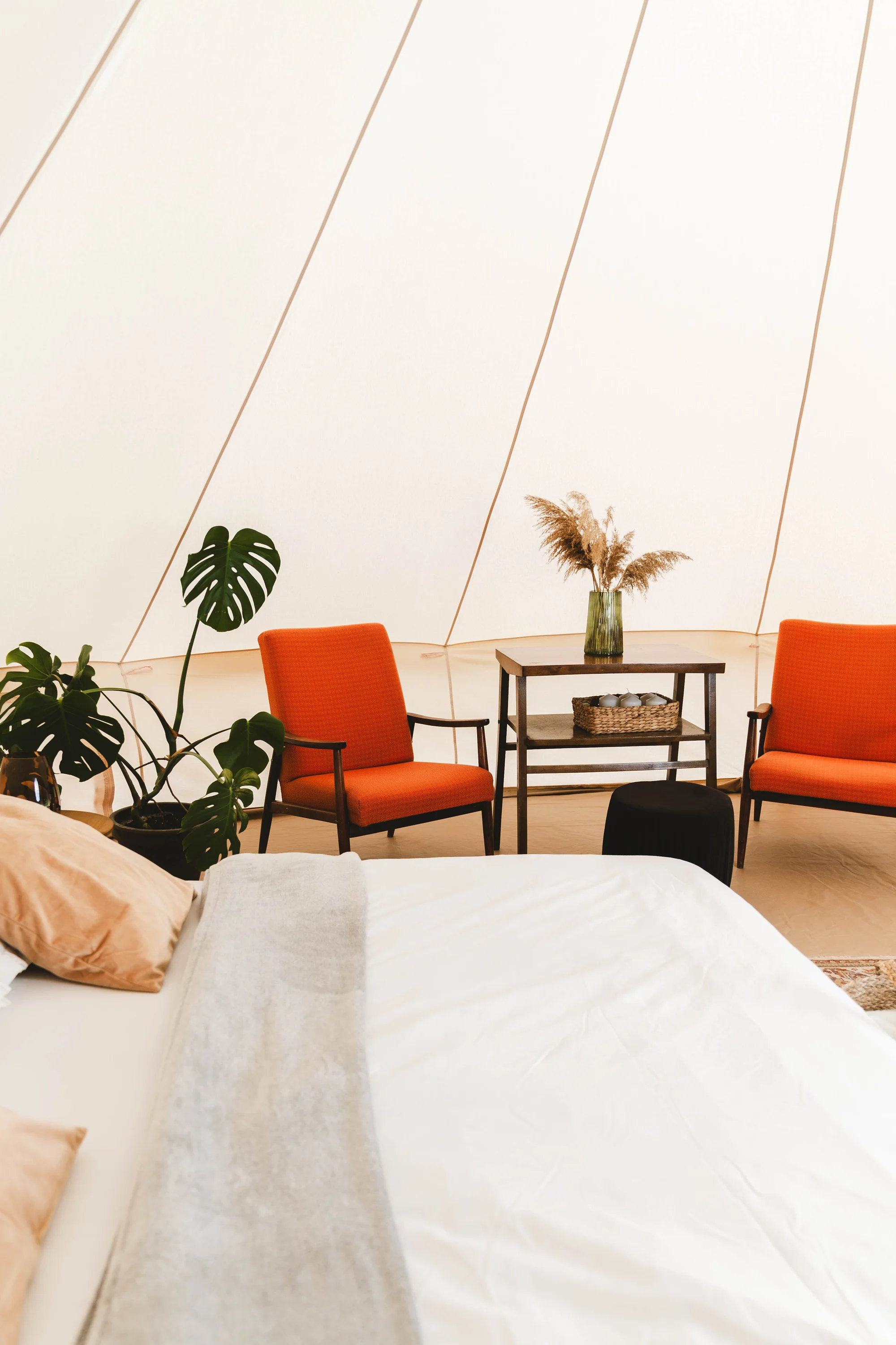 Glamping ve Velkých Pavlovicích přímo u vinice s výhledem na Pálavu