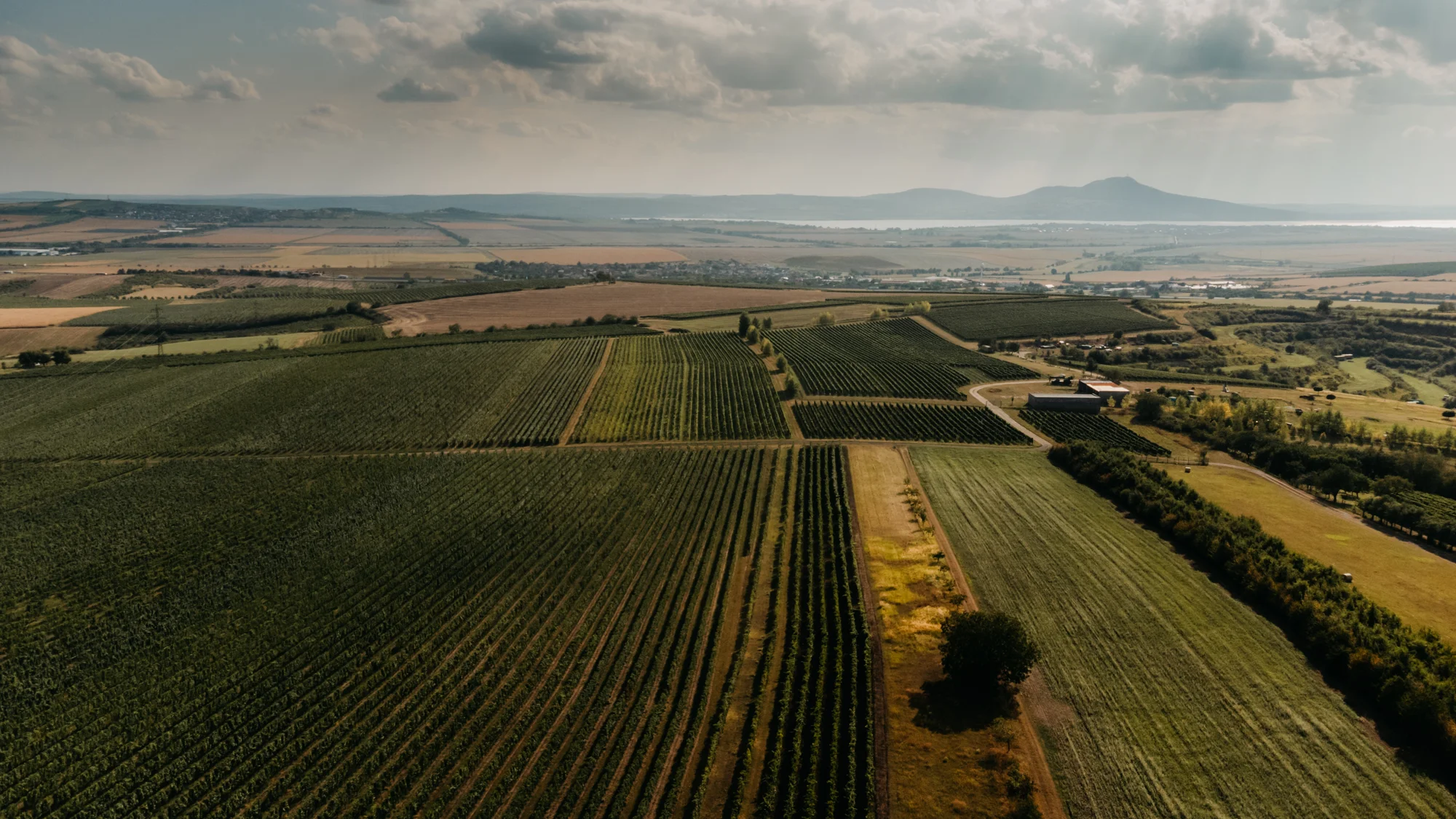 Glamping ve Velkých Pavlovicích přímo u vinice s výhledem na Pálavu