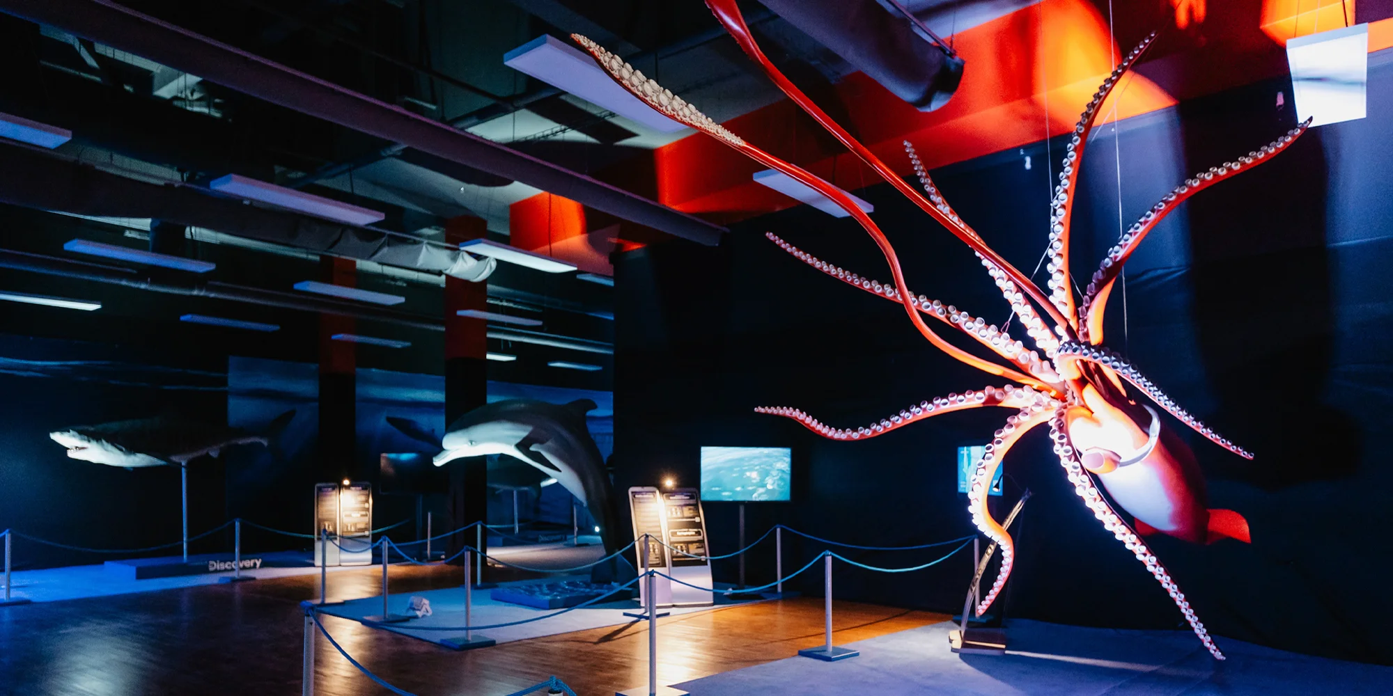 Vstupy na výstavu Obři oceánů v OC Westfield