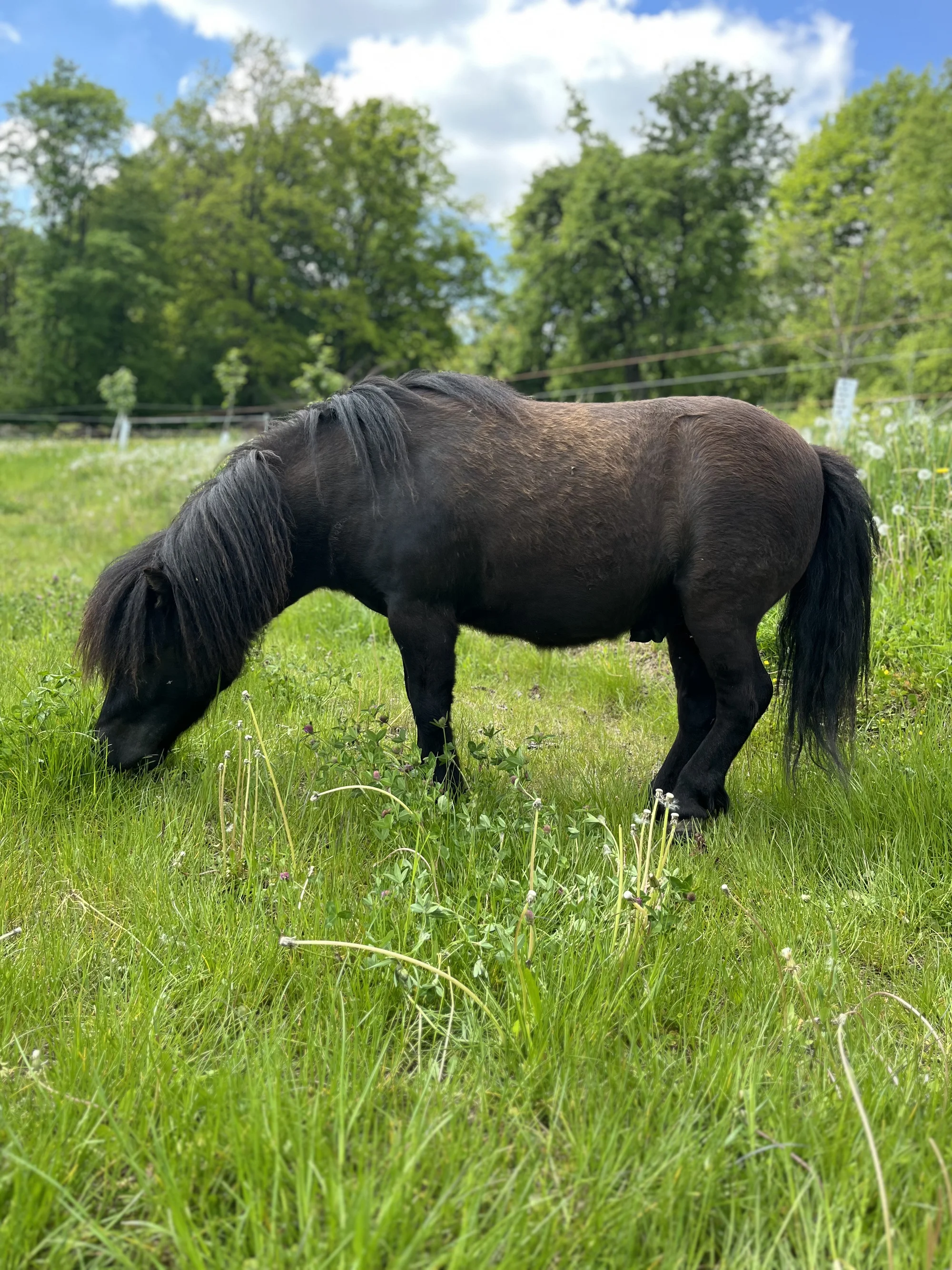 Relax na zrekonstruovaném statku v Borotíně: moderní apartmán až pro 6 osob
