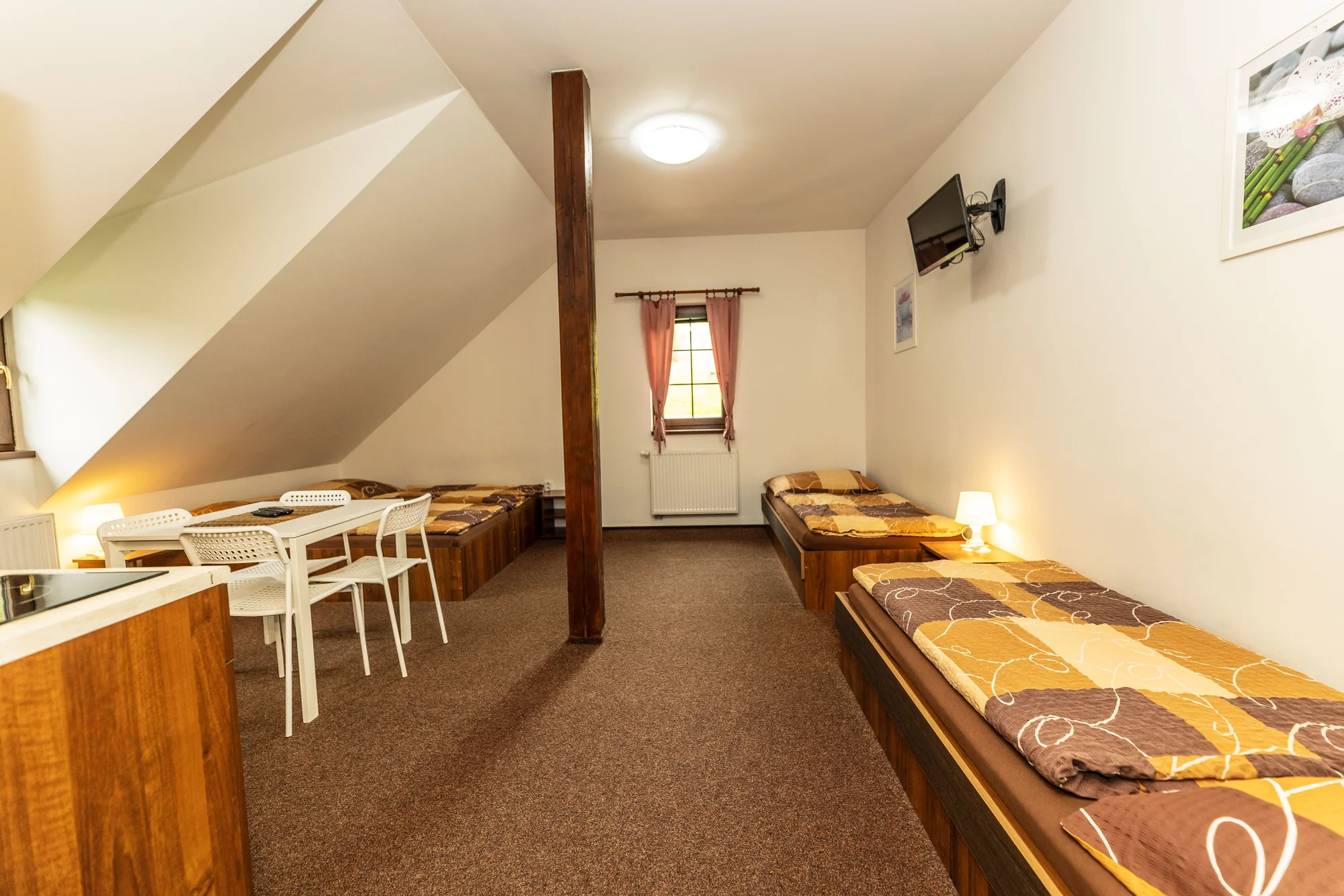 Apartmány na horské chatě v Jeseníkách vč. domácí stravy a neomezeného wellness s bazénem