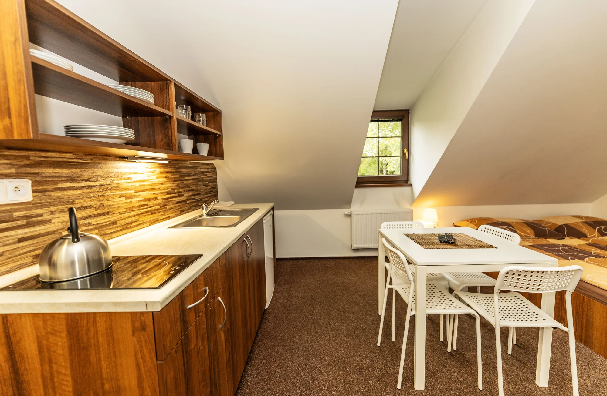 Apartmány na horské chatě v Jeseníkách vč. domácí stravy a neomezeného wellness s bazénem