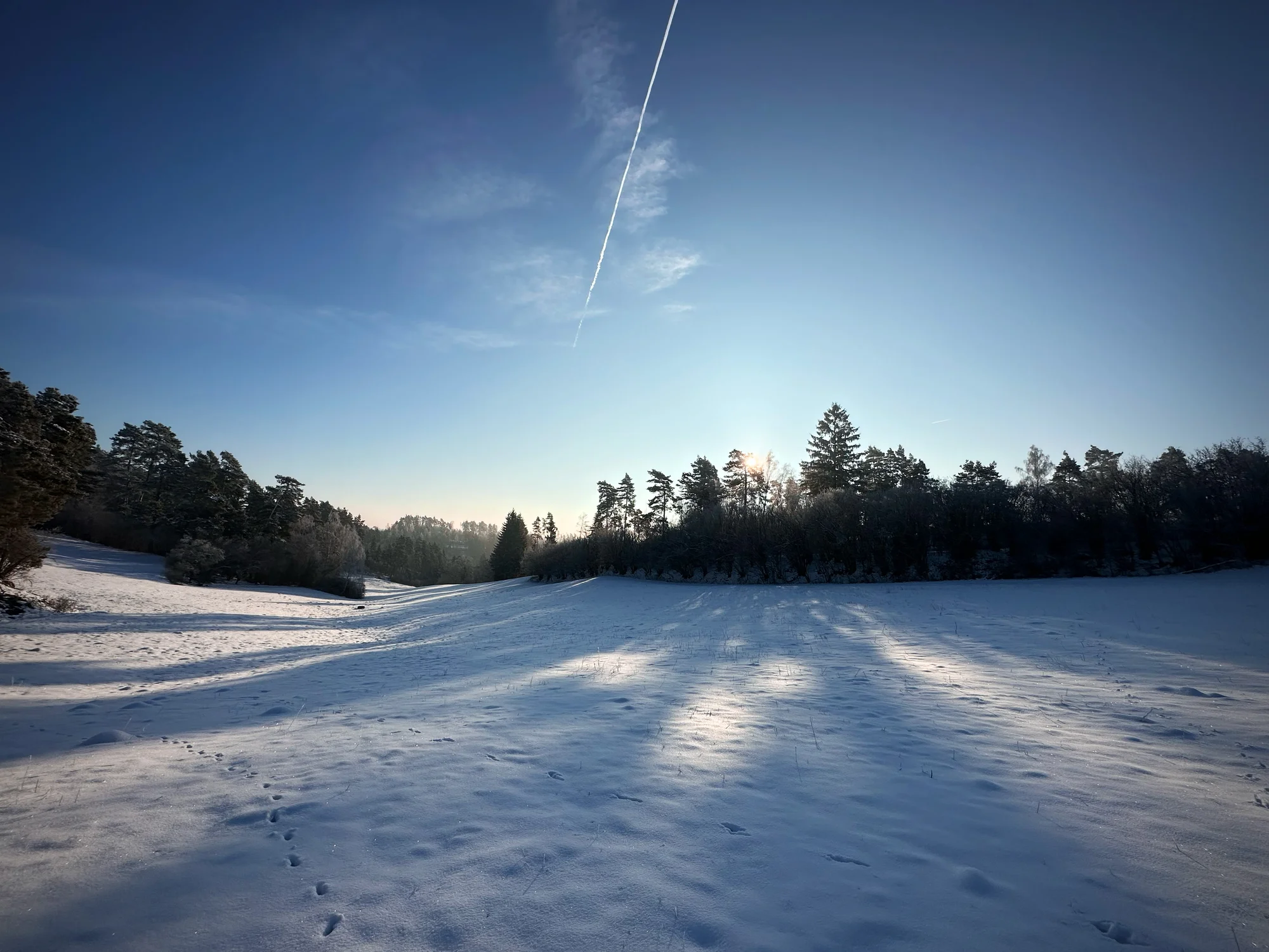 Tiny house na Vysočině: krásná lokalita na samotě, sauna, gril a komfortní vybavení