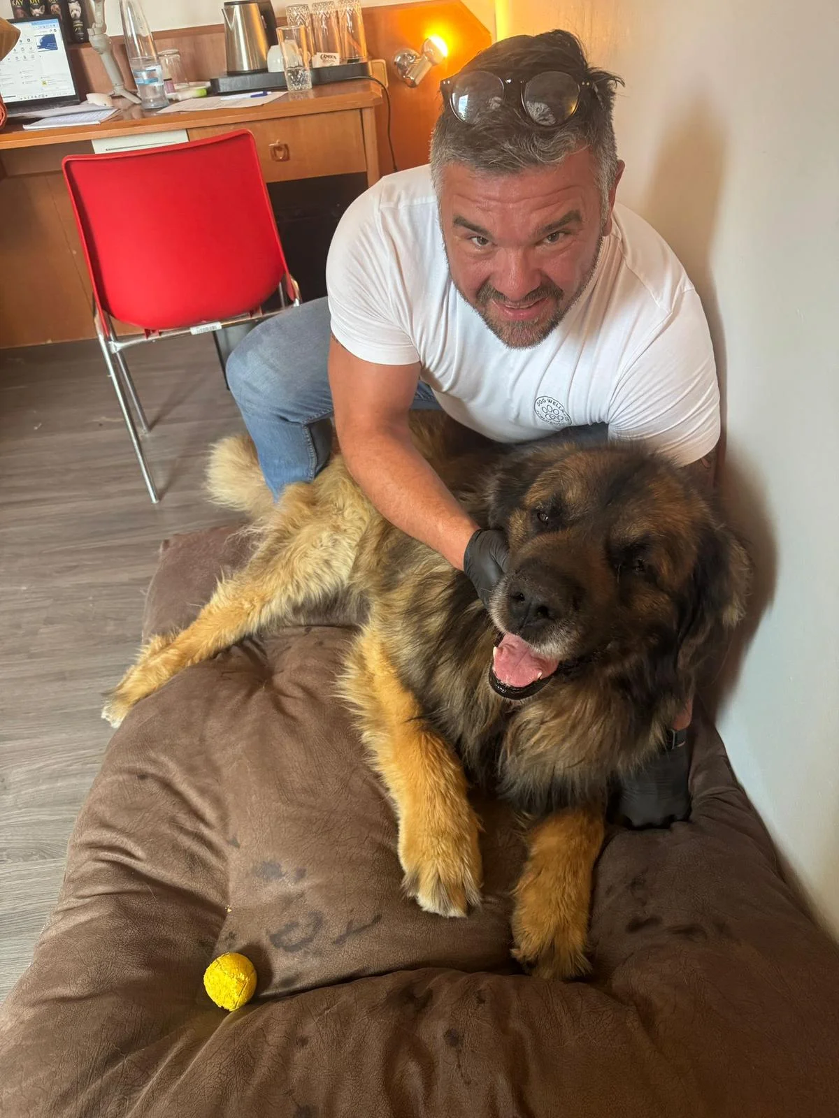 75 minut v psích lázních: rekondiční masáž a koupel pro vašeho chlupáče