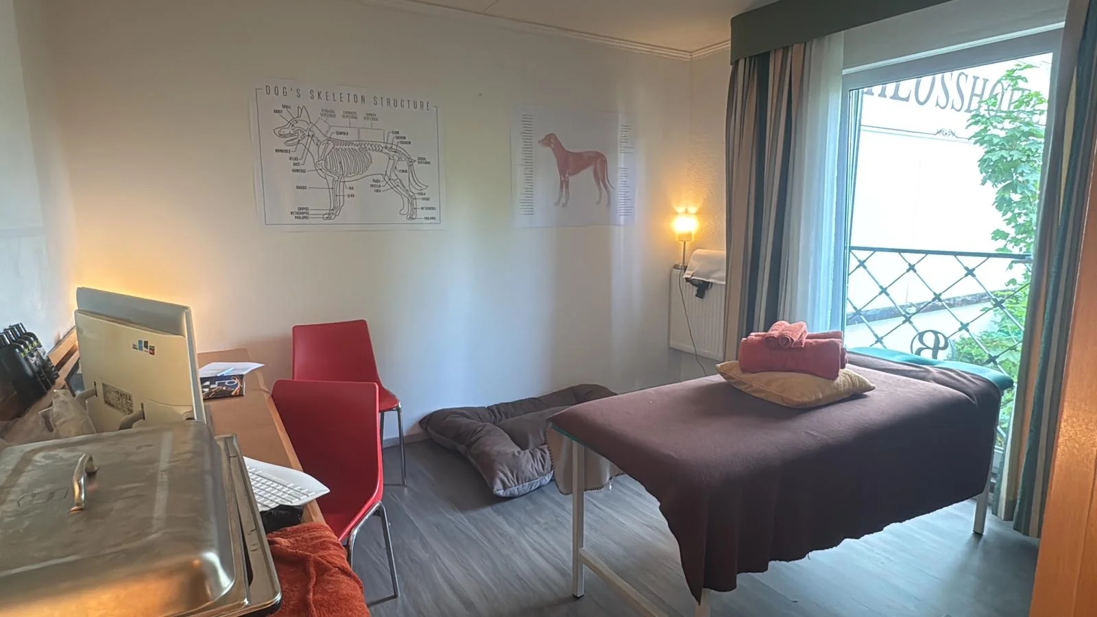 75 minut v psích lázních: rekondiční masáž a koupel pro vašeho chlupáče