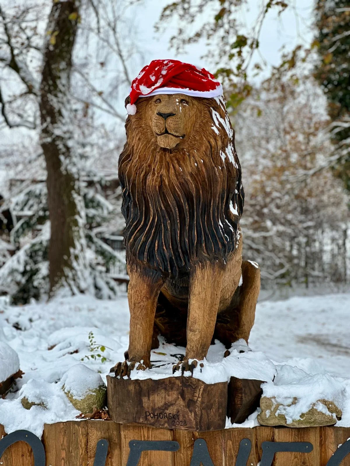 Staňte se ošetřovatelem u kočkovitých šelem: 90 min. ve všední dny pro dva či rodinu