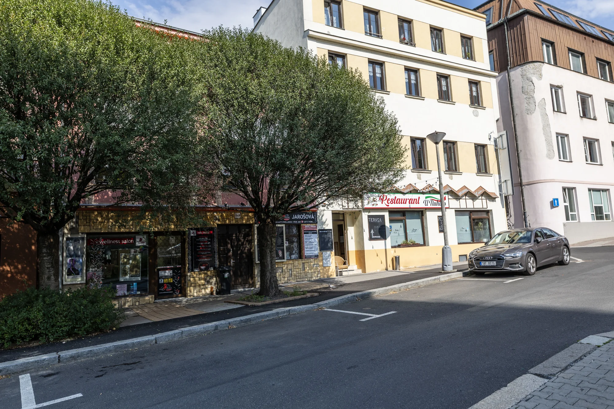 Pohoda a relax v Děčíně: podkrovní apartmány nedaleko zámku, možnost tělového rituálu