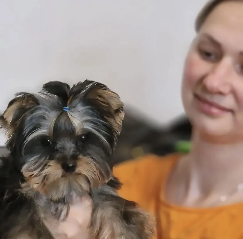 Kompletní péče pro domácí mazlíčky: koupání a úprava srsti vč. zastřižení drápků