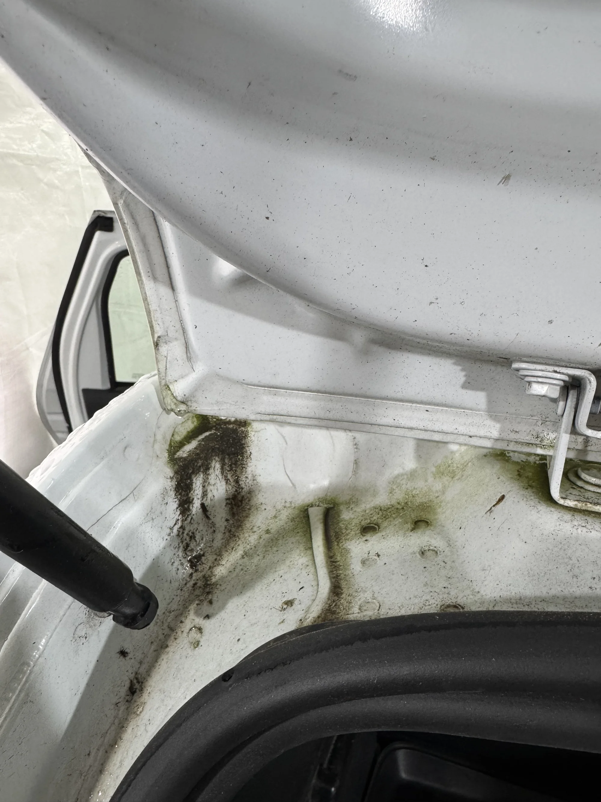 Čištění exteriéru a interiéru i vč. tepování: všechny velikosti aut