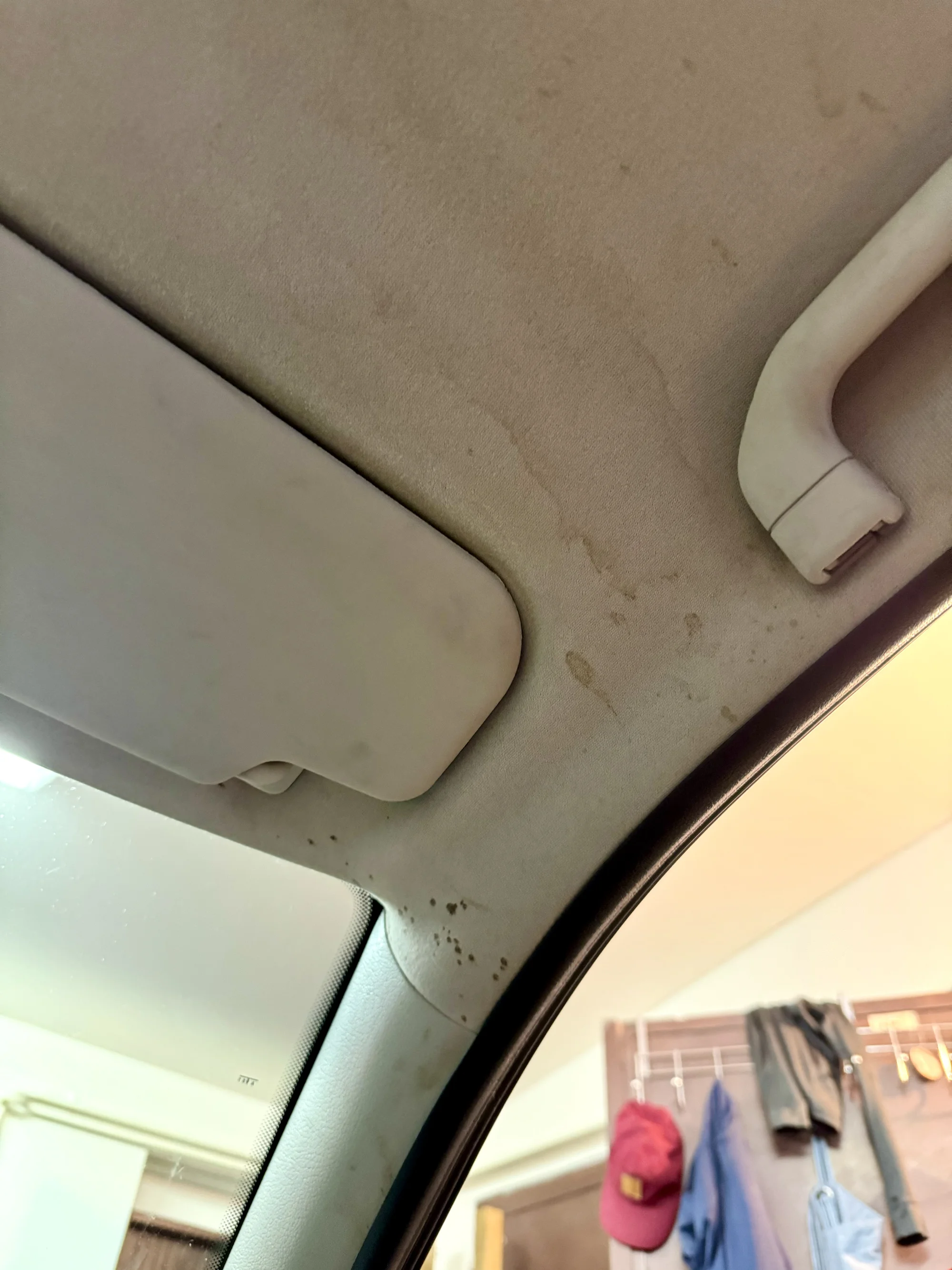 Čištění exteriéru a interiéru i vč. tepování: všechny velikosti aut